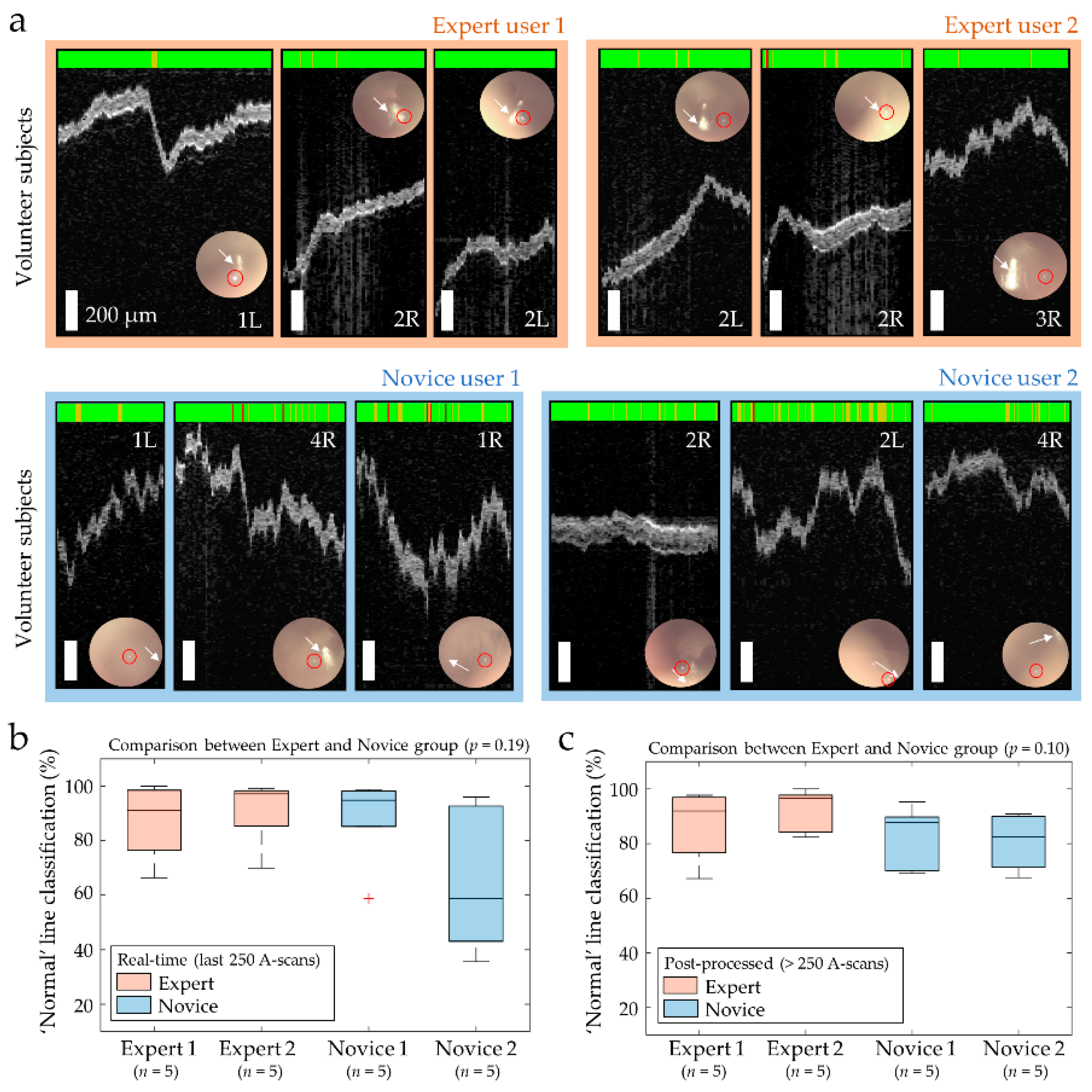 Biosensors 11 00143 g005 Biosensors 11 00143 g005