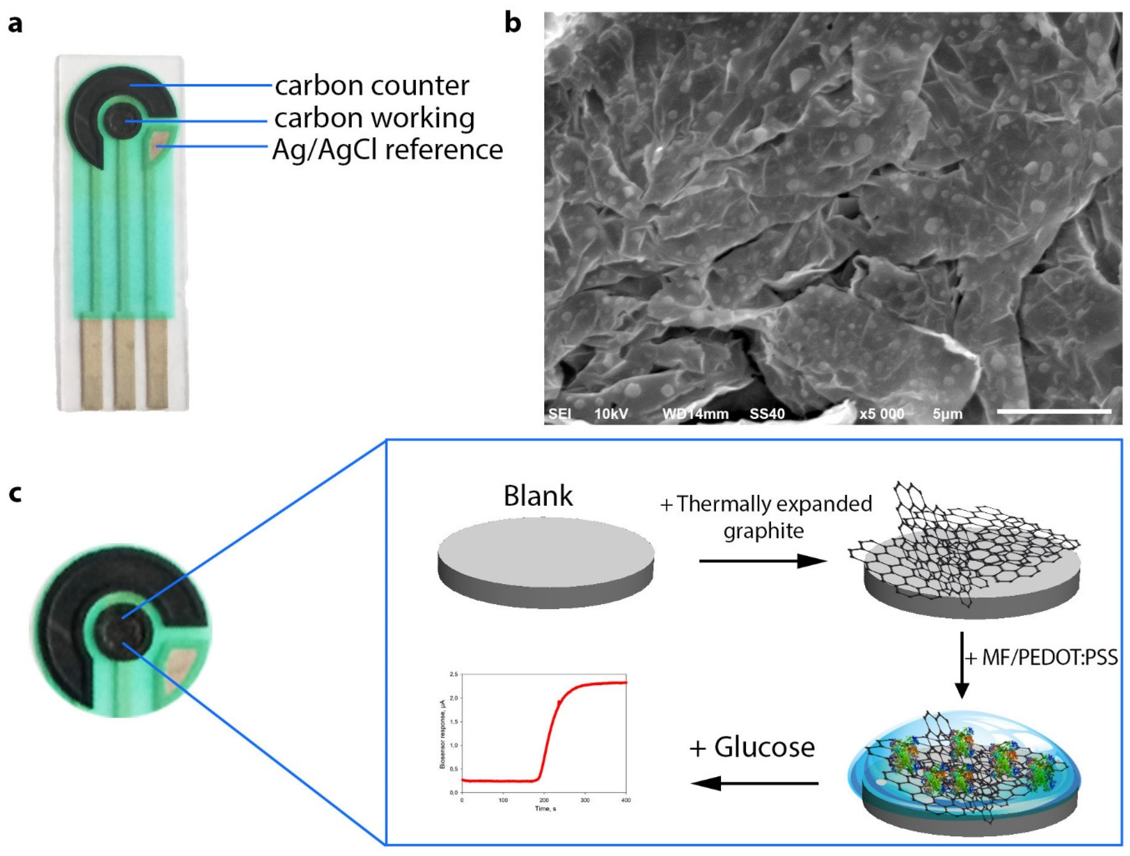 Biosensors 11 00144 g001 Biosensors 11 00144 g001