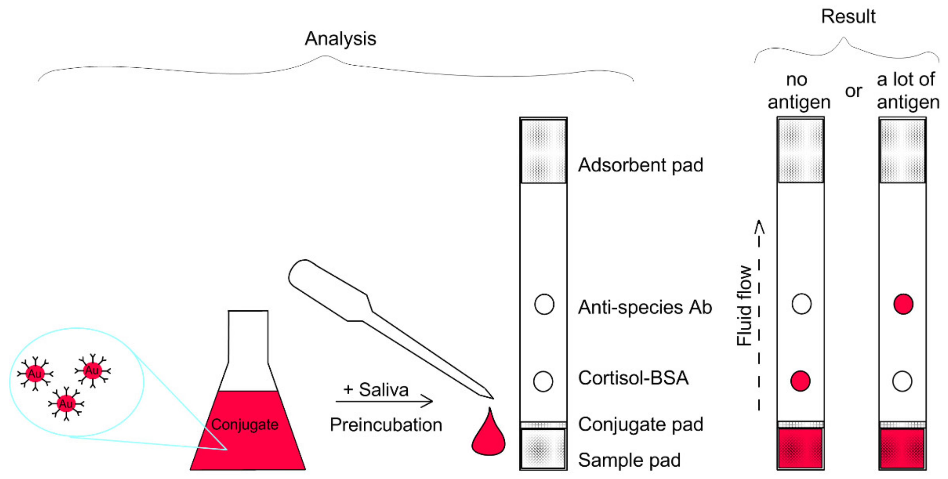Biosensors 11 00146 g001 Biosensors 11 00146 g001