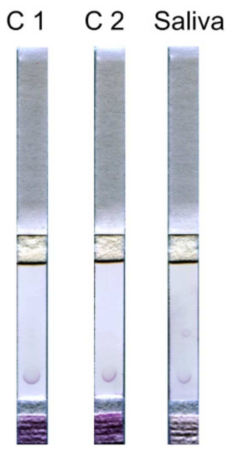 Biosensors 11 00146 g004 Biosensors 11 00146 g004