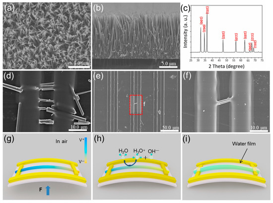 Biosensors | Special Issue : Smart, Connected, and Portable Biosensors ...