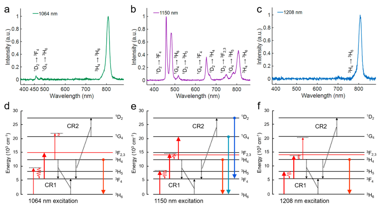 Biosensors 11 00148 g001