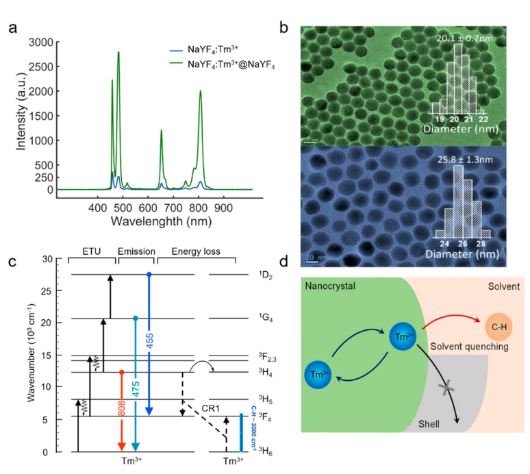 Biosensors 11 00148 g003