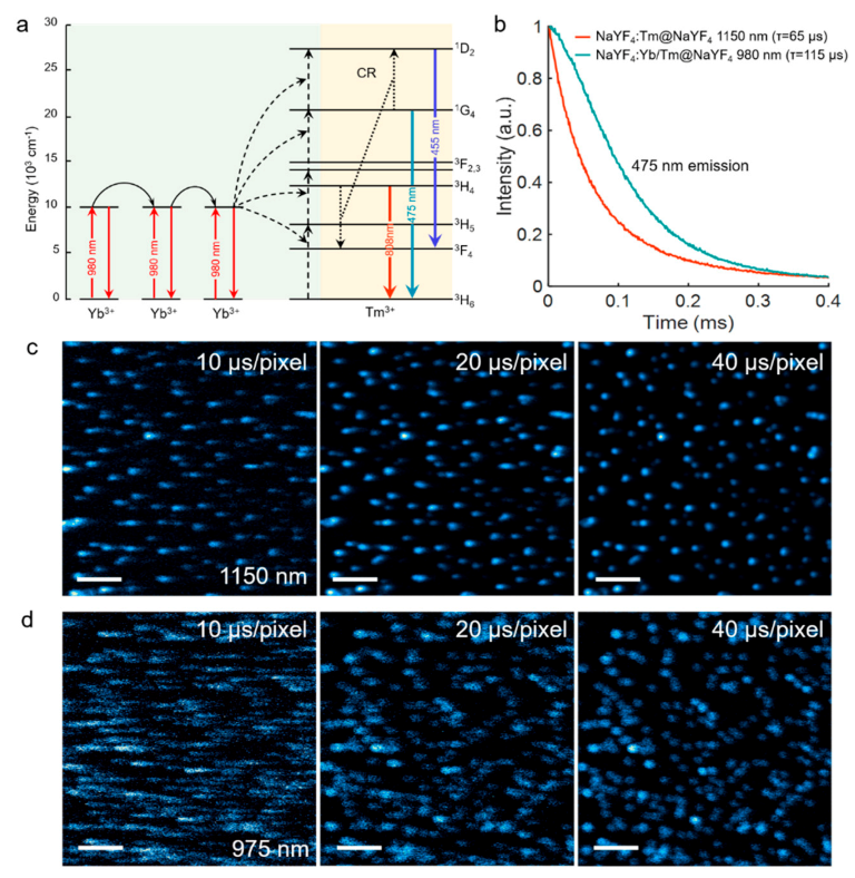 Biosensors 11 00148 g004