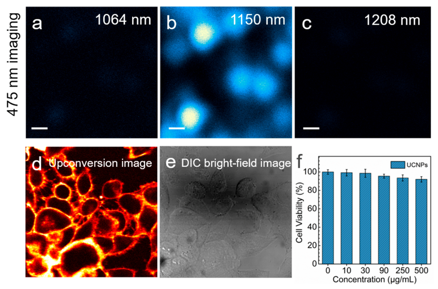 Biosensors 11 00148 g005