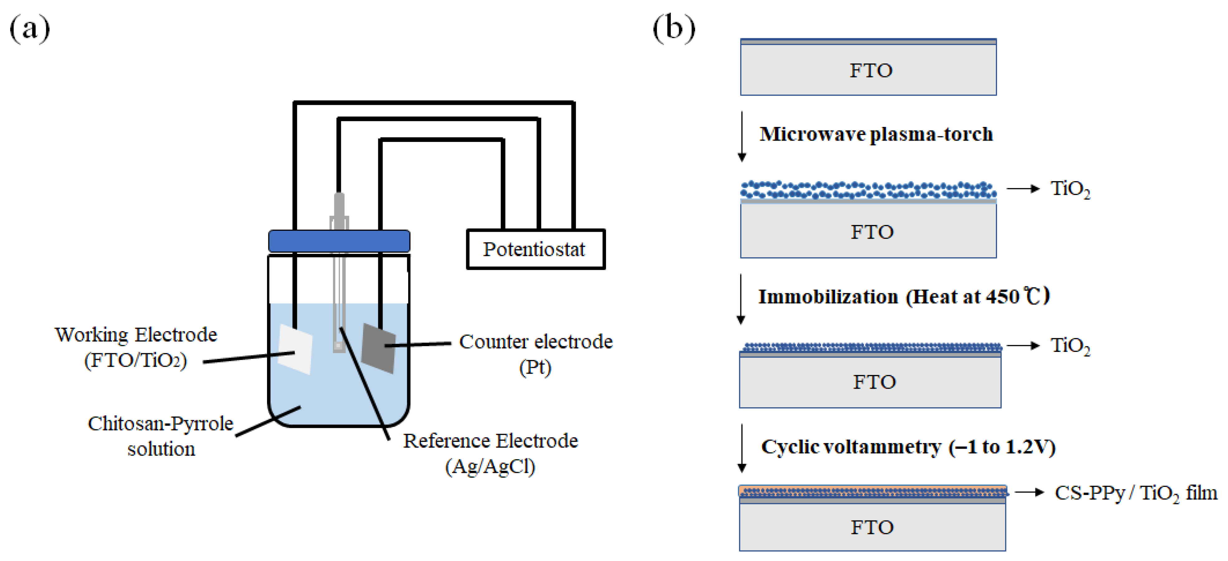 Biosensors 11 00149 g001 Biosensors 11 00149 g001