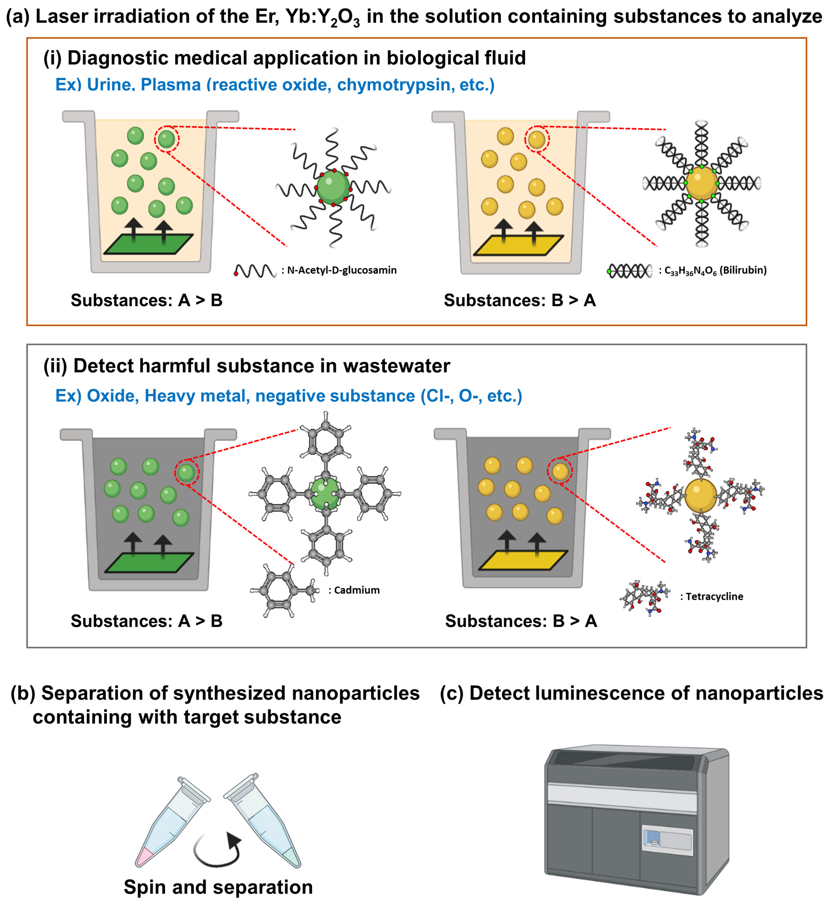 Biosensors 11 00150 g006 Biosensors 11 00150 g006