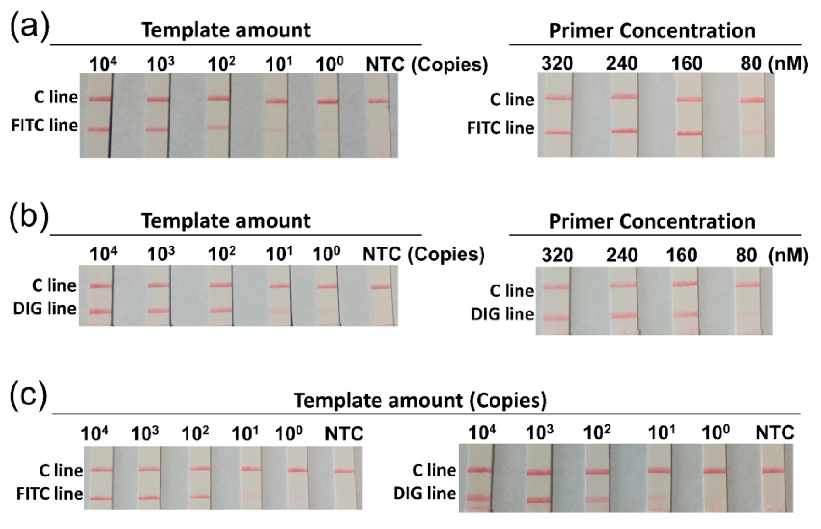 Biosensors 11 00151 g002