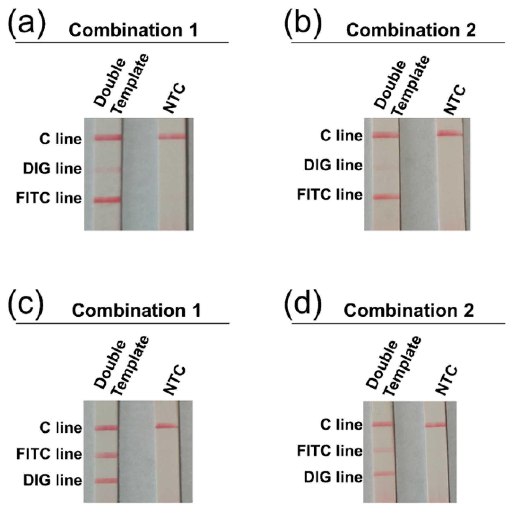 Biosensors 11 00151 g003
