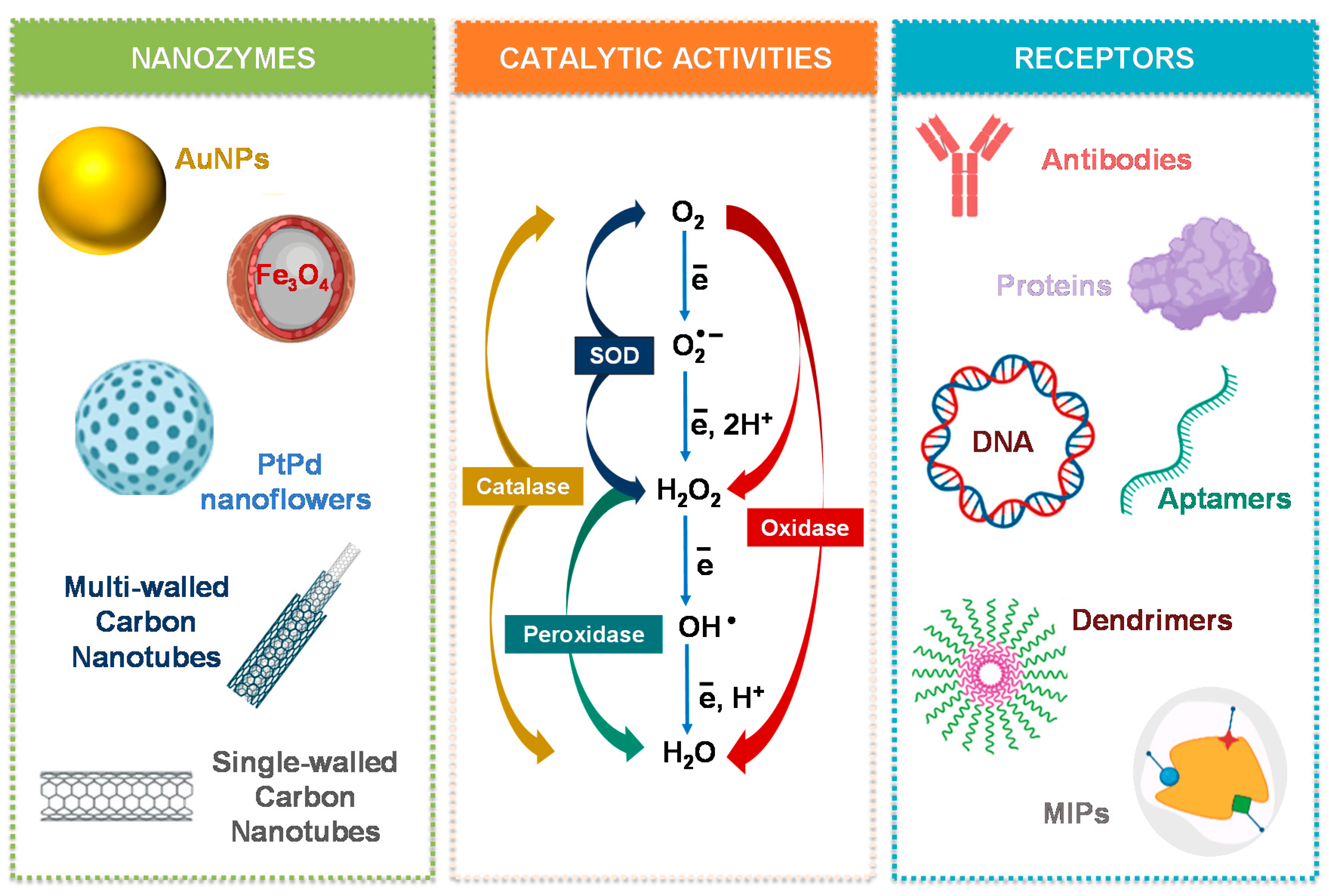 Biosensors 11 00152 g003 Biosensors 11 00152 g003