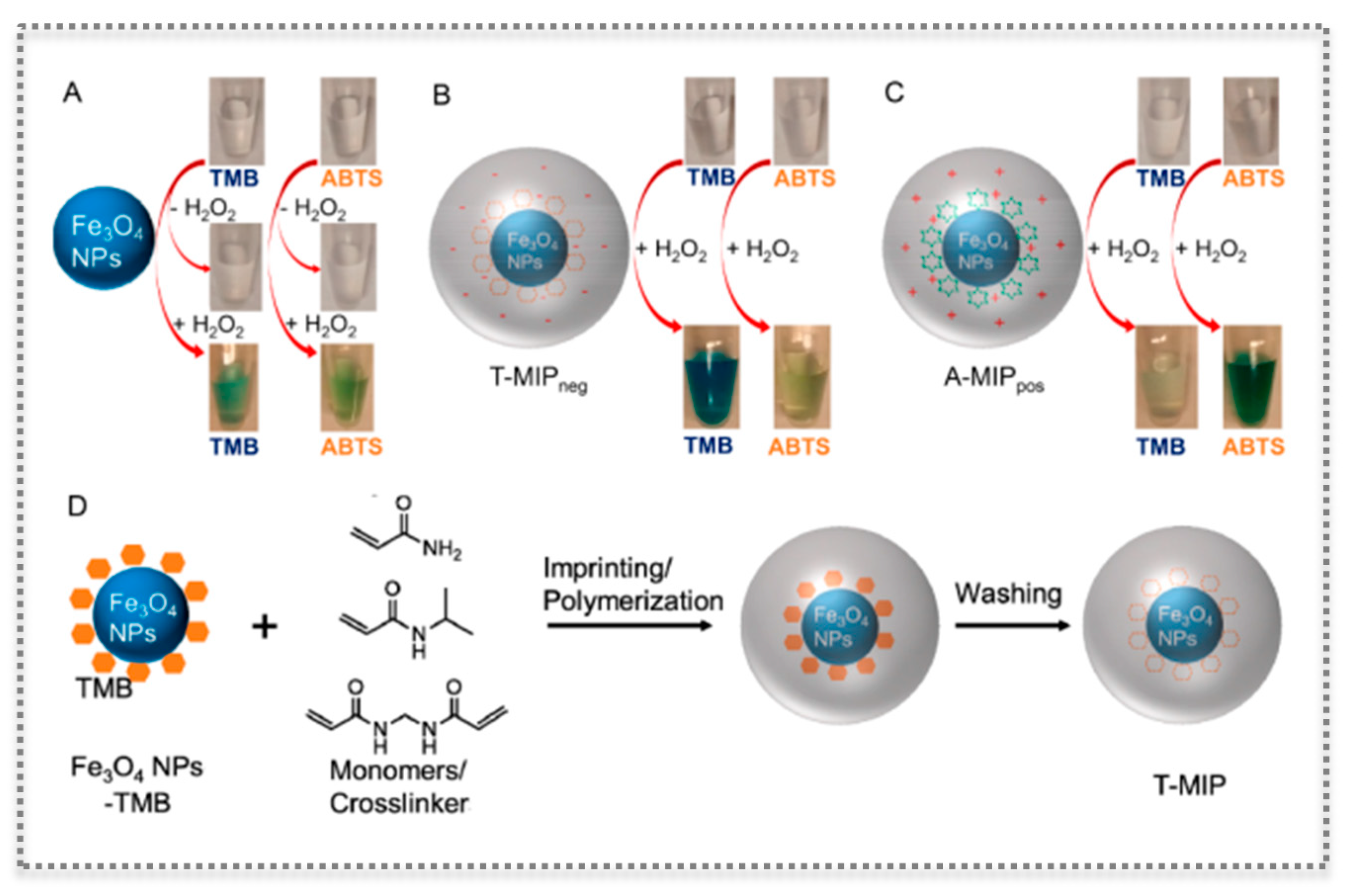 Biosensors 11 00152 g009 Biosensors 11 00152 g009