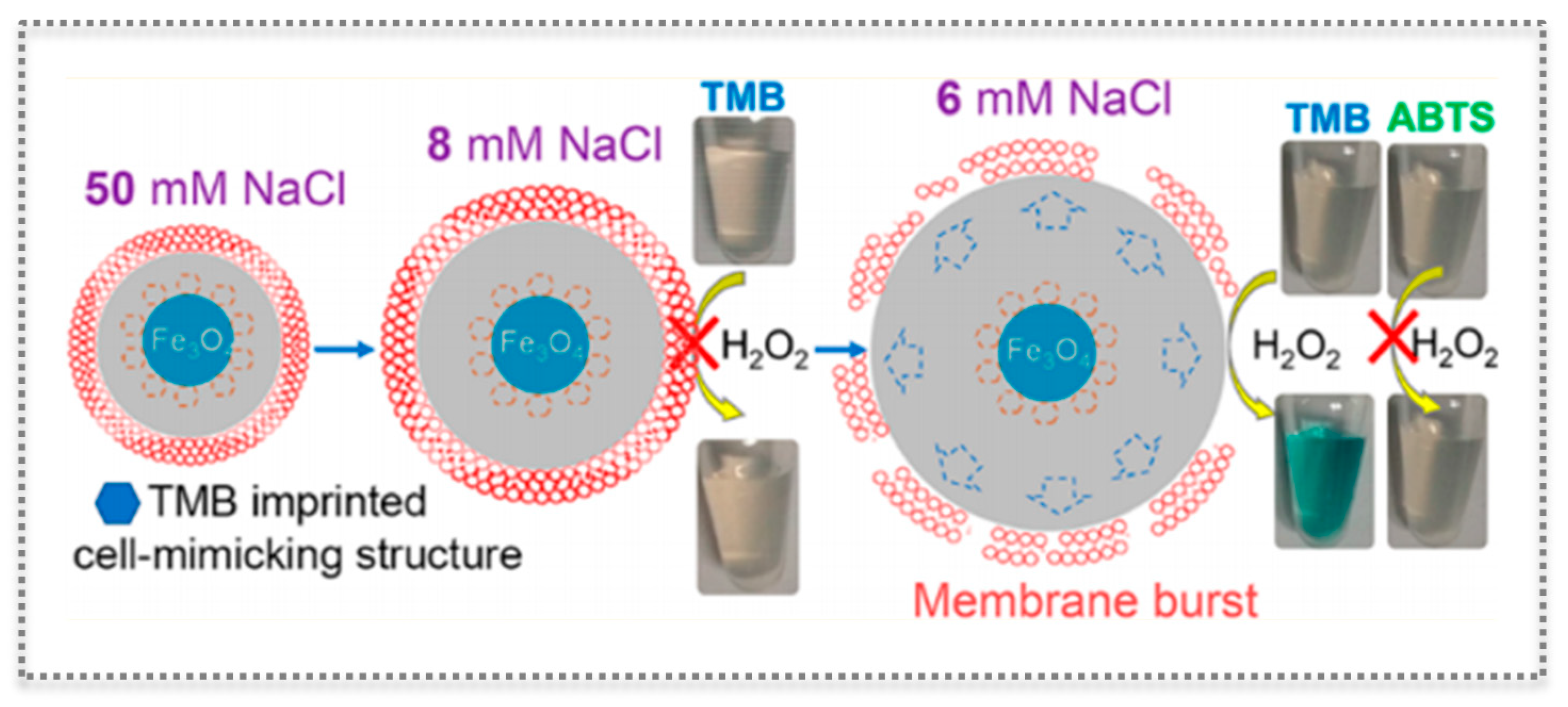 Biosensors 11 00152 g011 Biosensors 11 00152 g011
