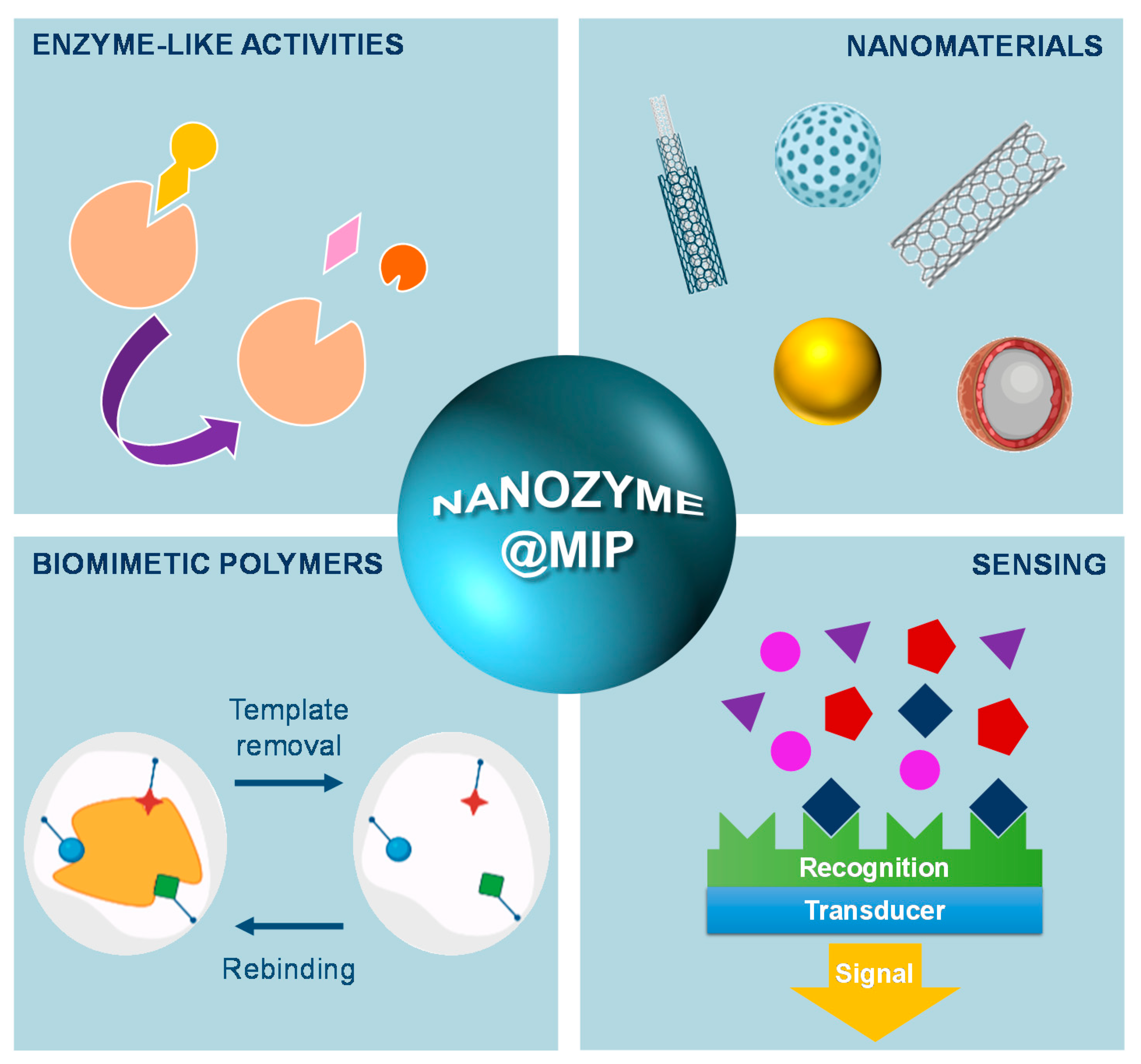 Biosensors 11 00152 g012 Biosensors 11 00152 g012
