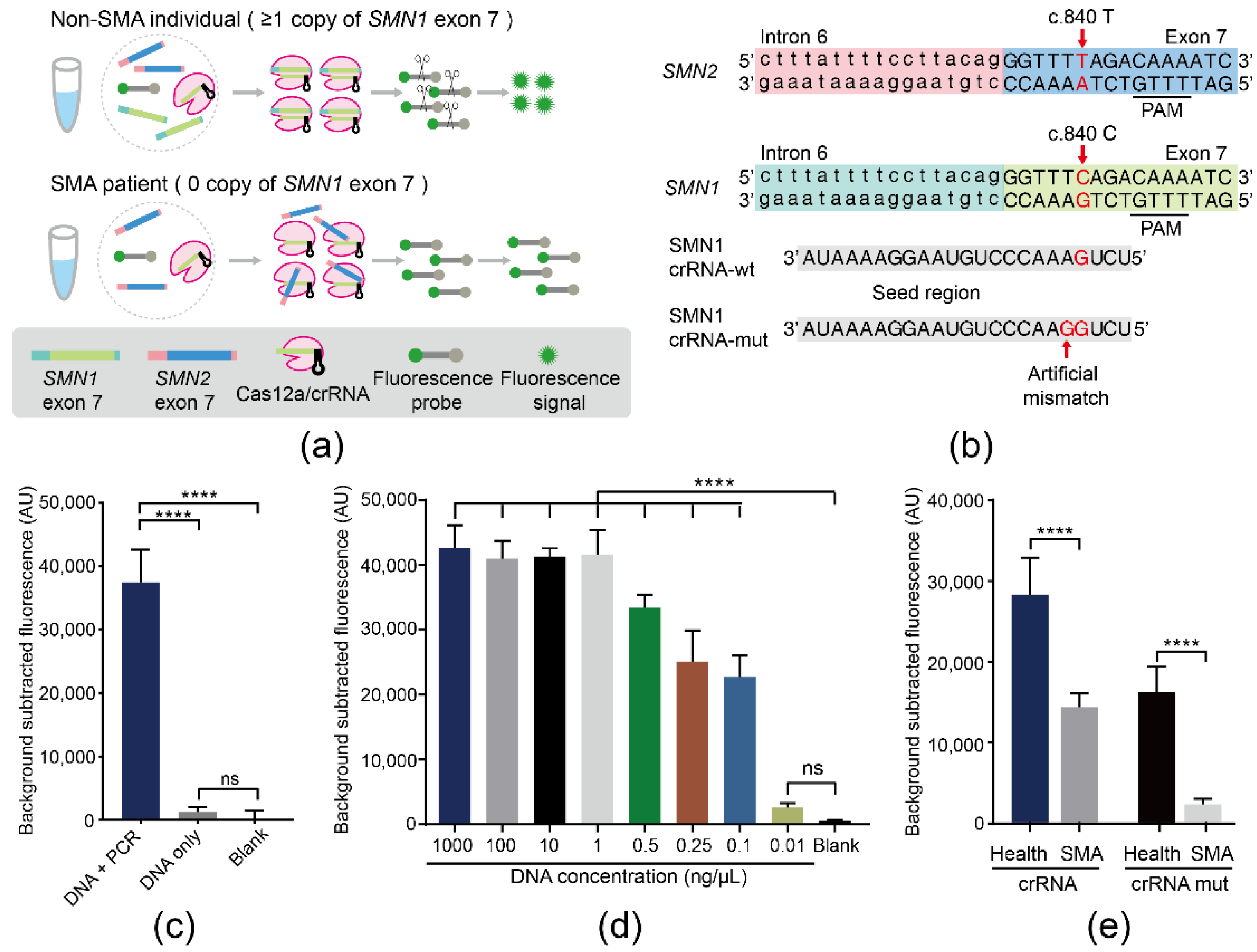 Biosensors 11 00154 g001