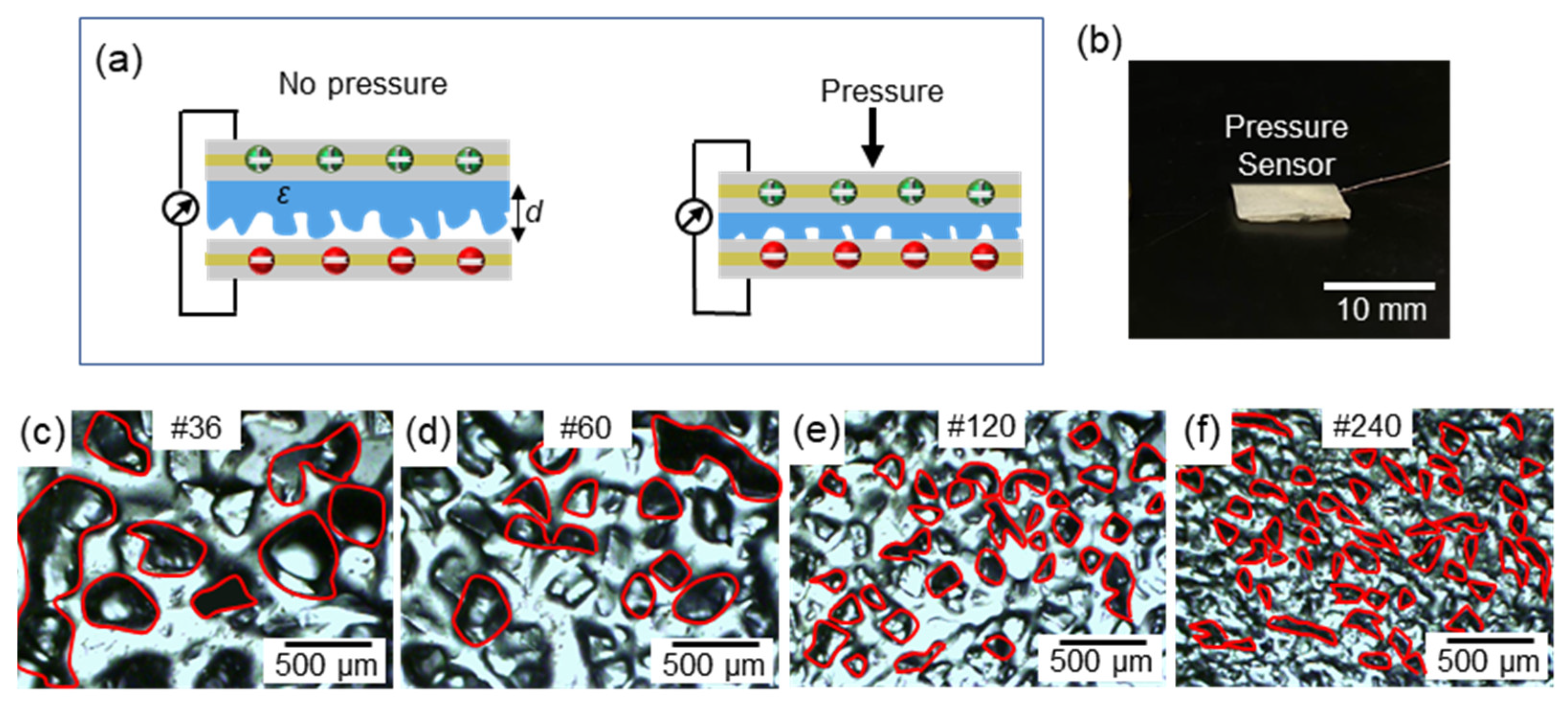 Biosensors 11 00156 g004 Biosensors 11 00156 g004