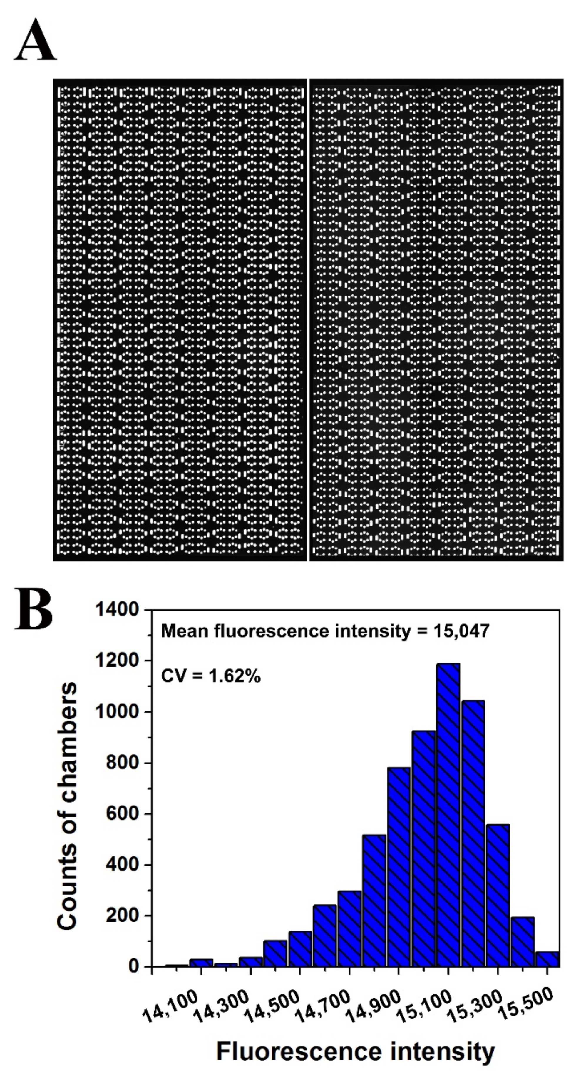 Biosensors 11 00158 g004 Biosensors 11 00158 g004