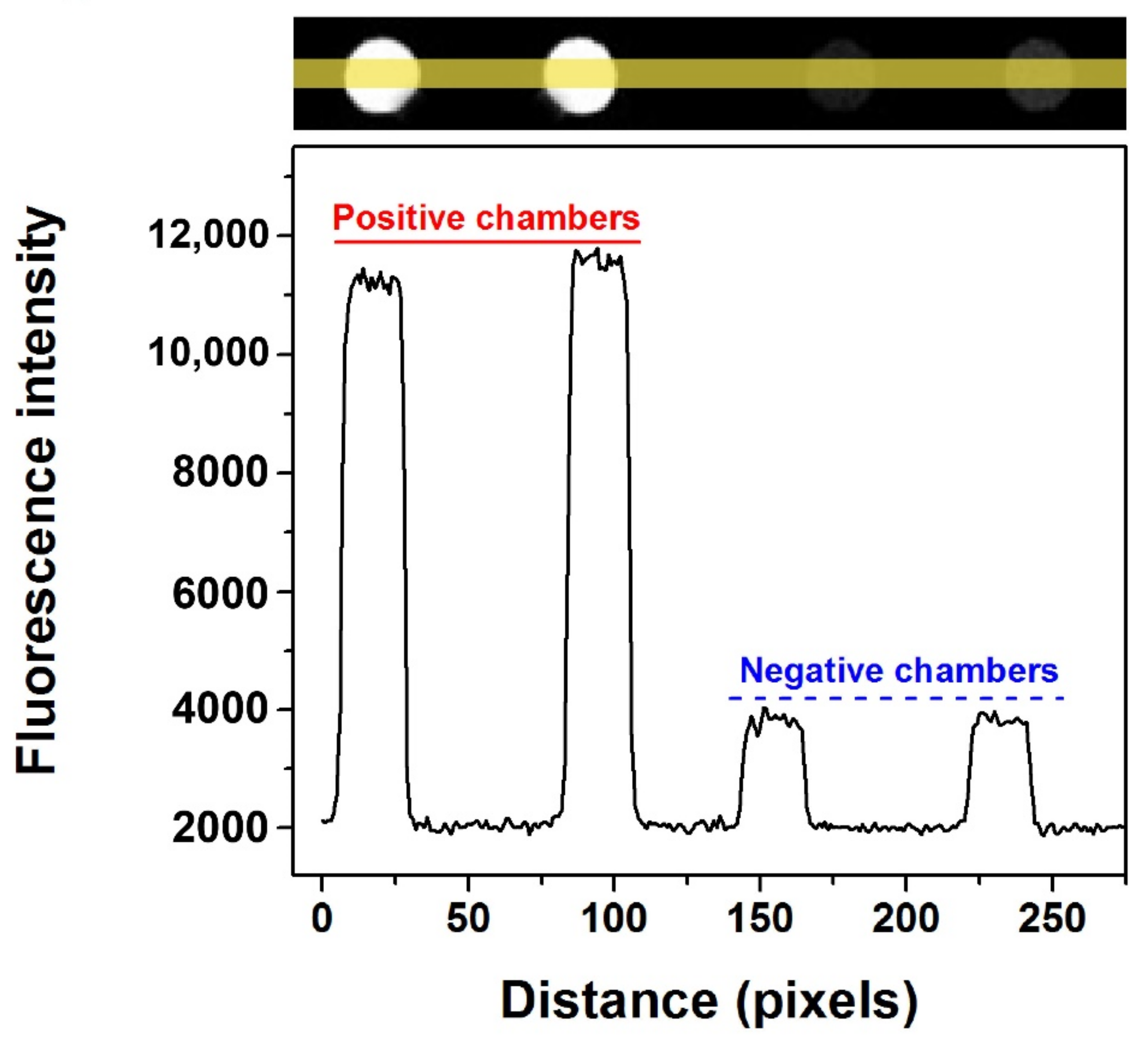 Biosensors 11 00158 g005 Biosensors 11 00158 g005