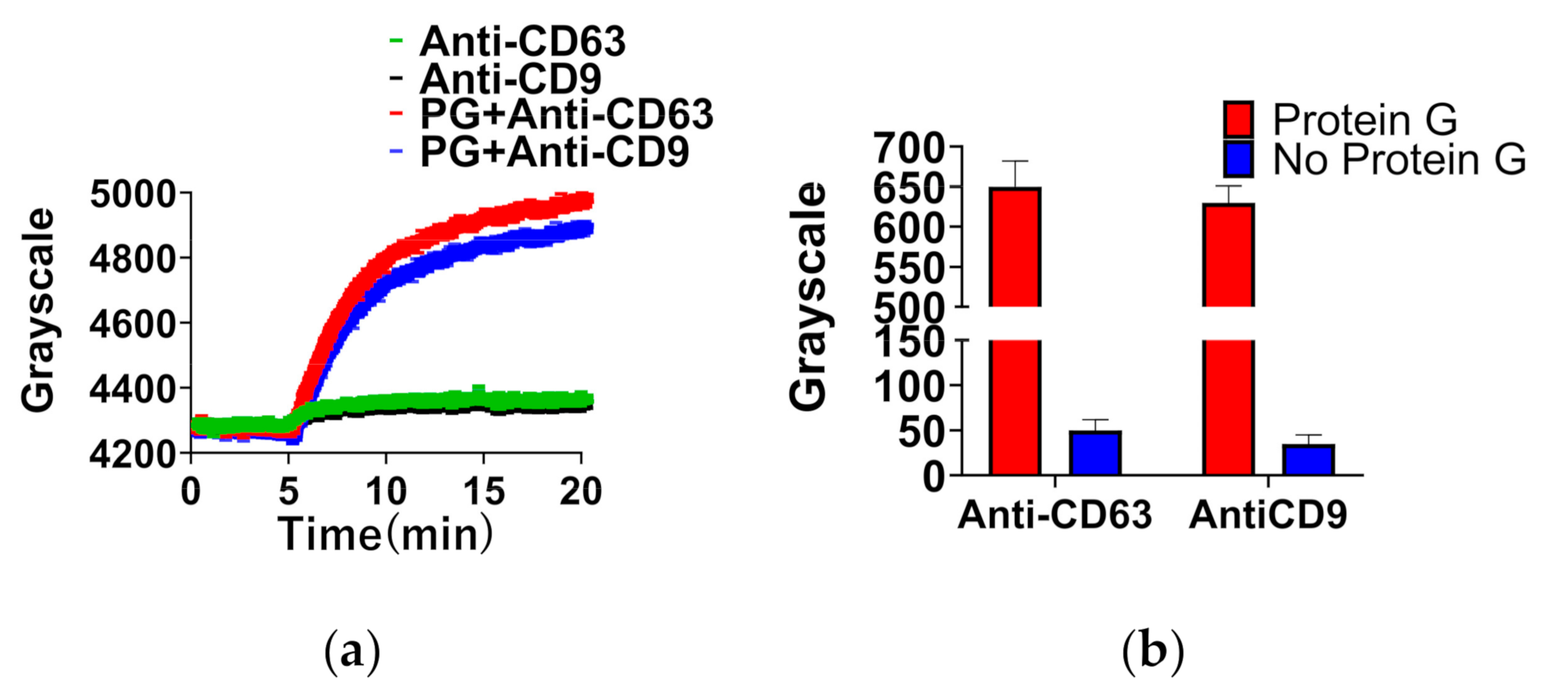 Biosensors 11 00164 g002 Biosensors 11 00164 g002