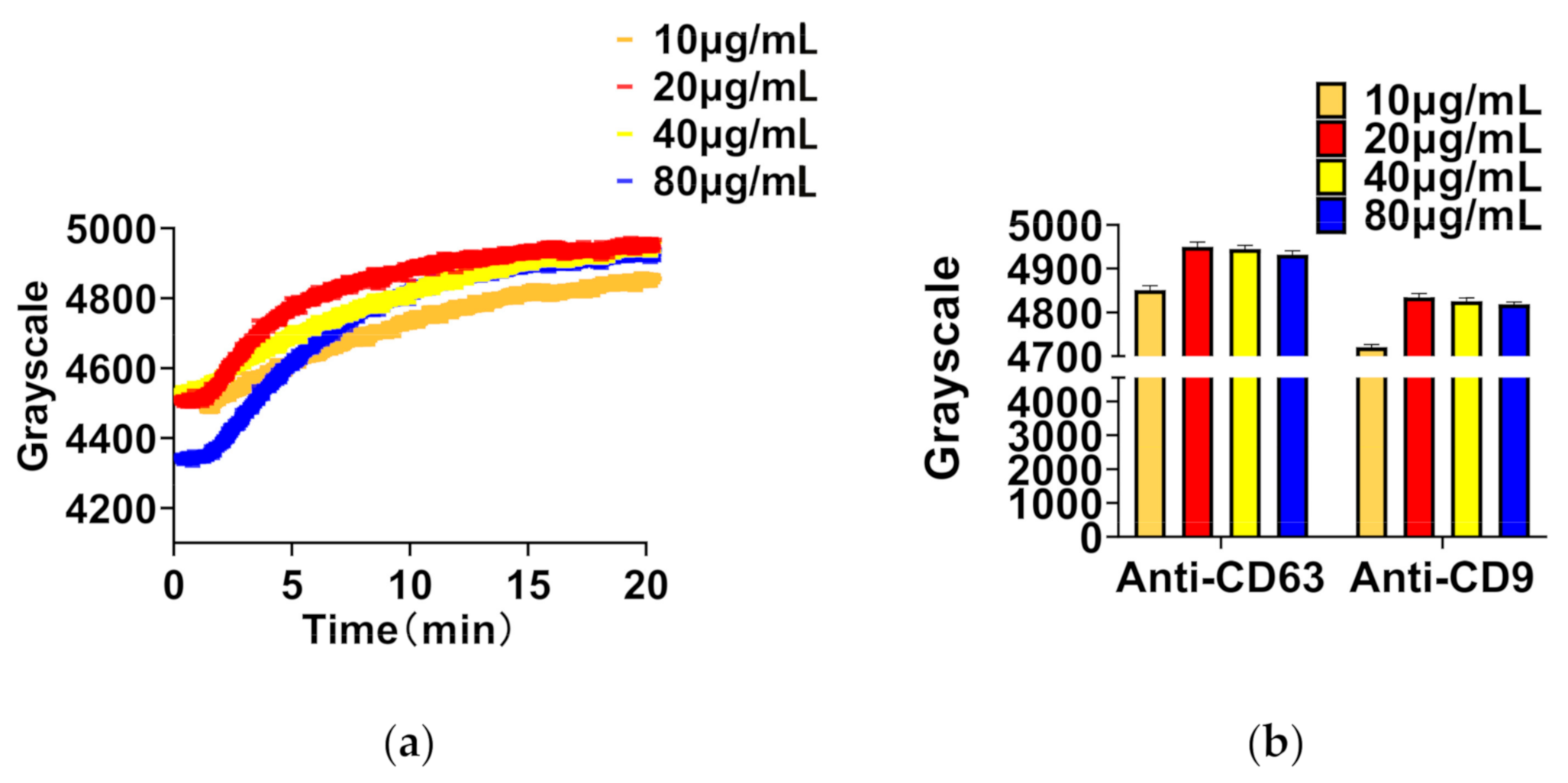 Biosensors 11 00164 g003 Biosensors 11 00164 g003