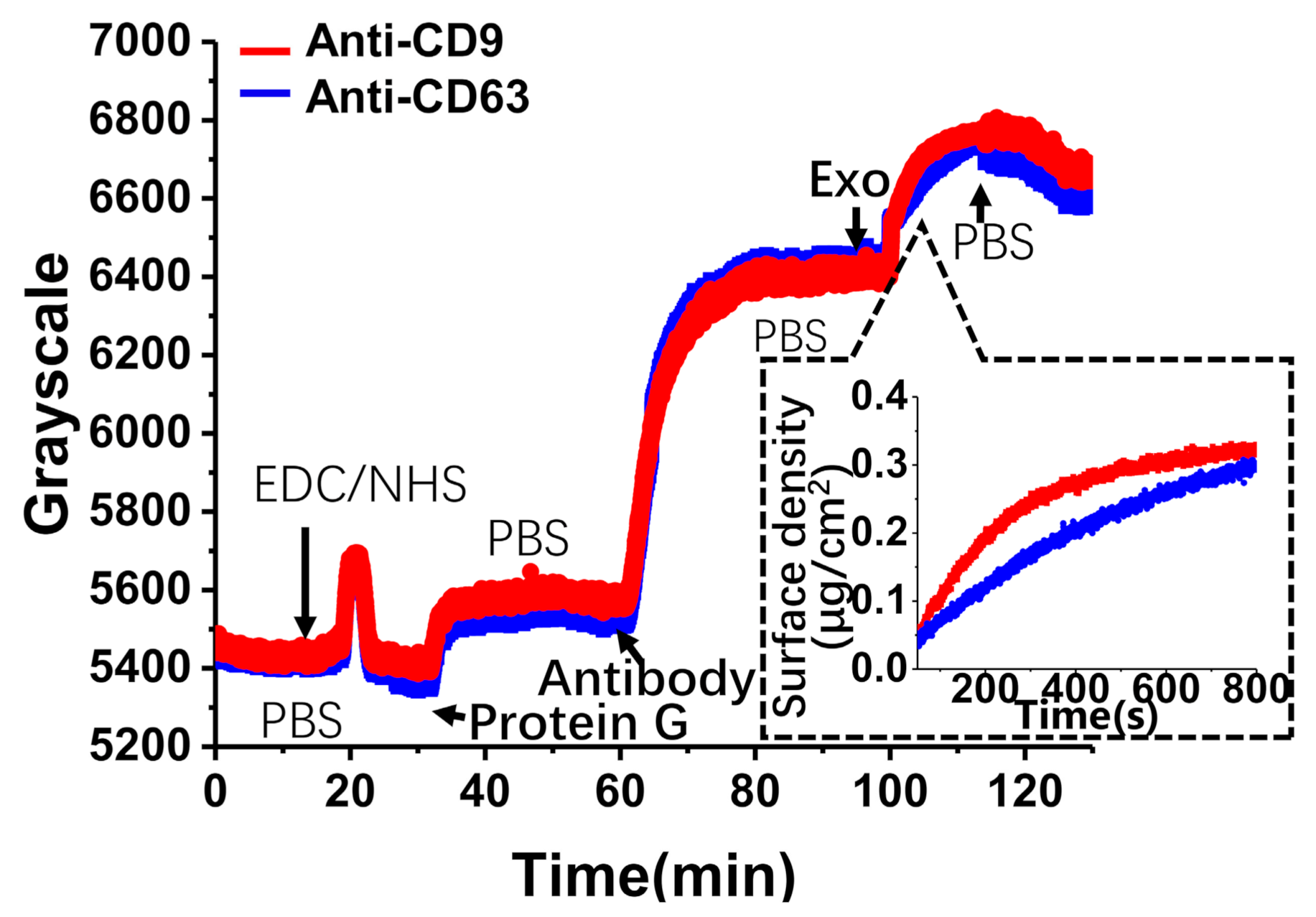 Biosensors 11 00164 g004 Biosensors 11 00164 g004