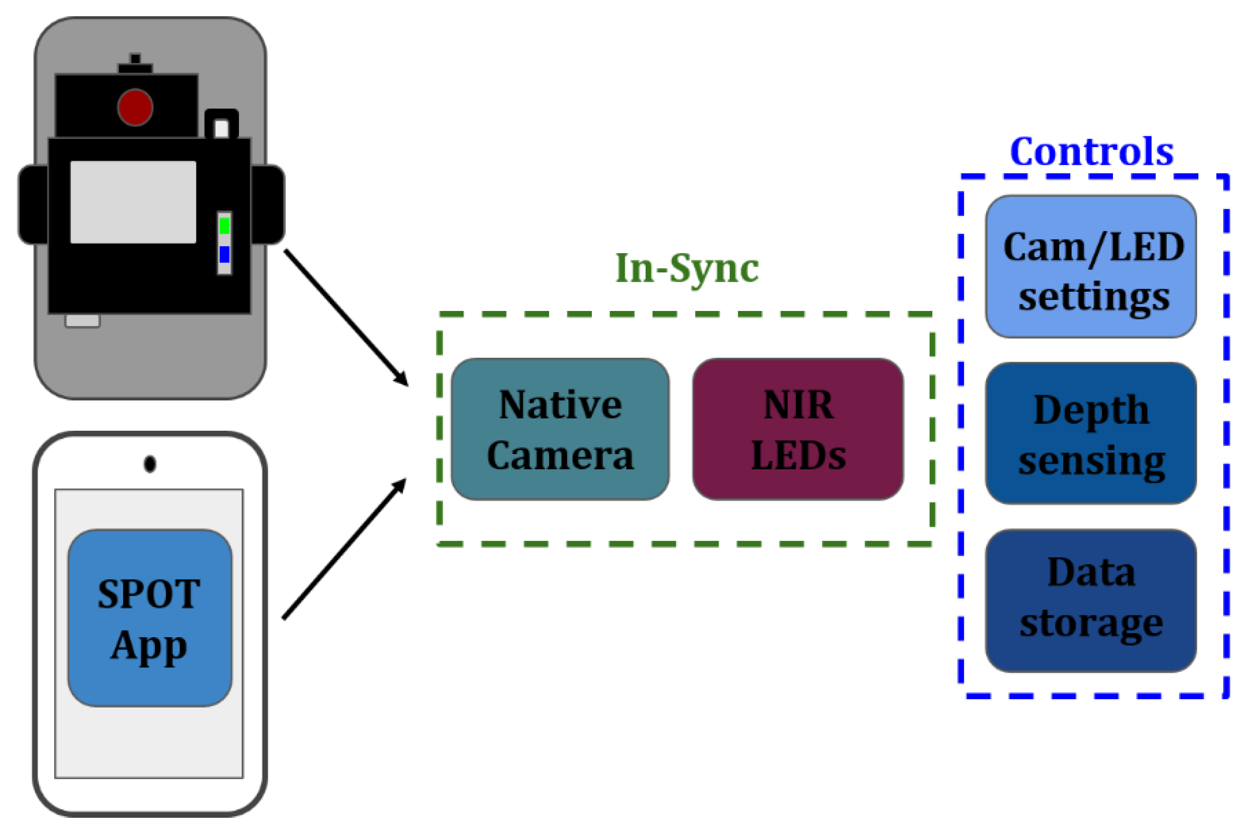 Biosensors 11 00165 g002