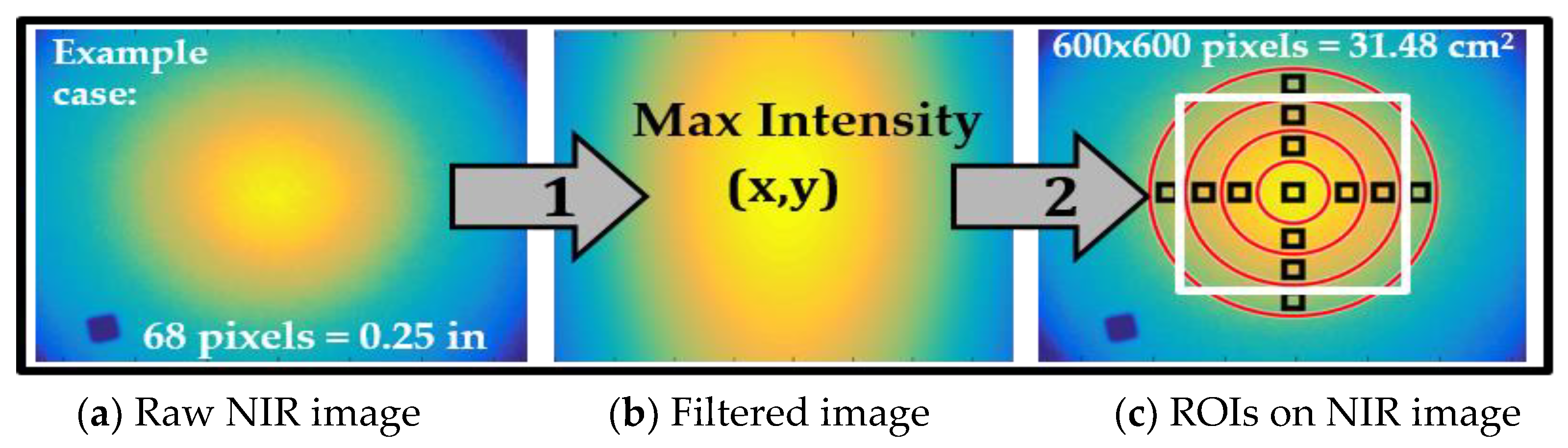 Biosensors 11 00165 g005