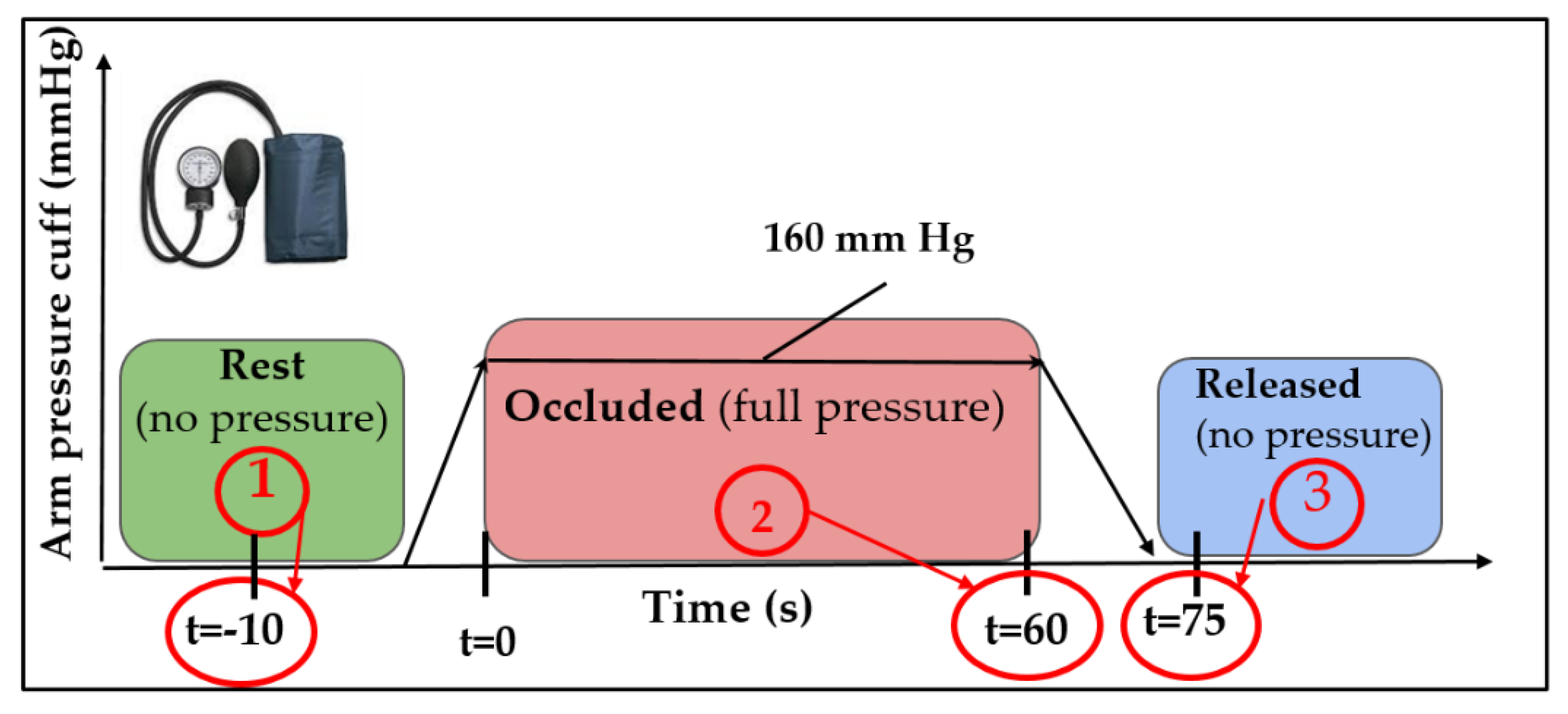 Biosensors 11 00165 g006