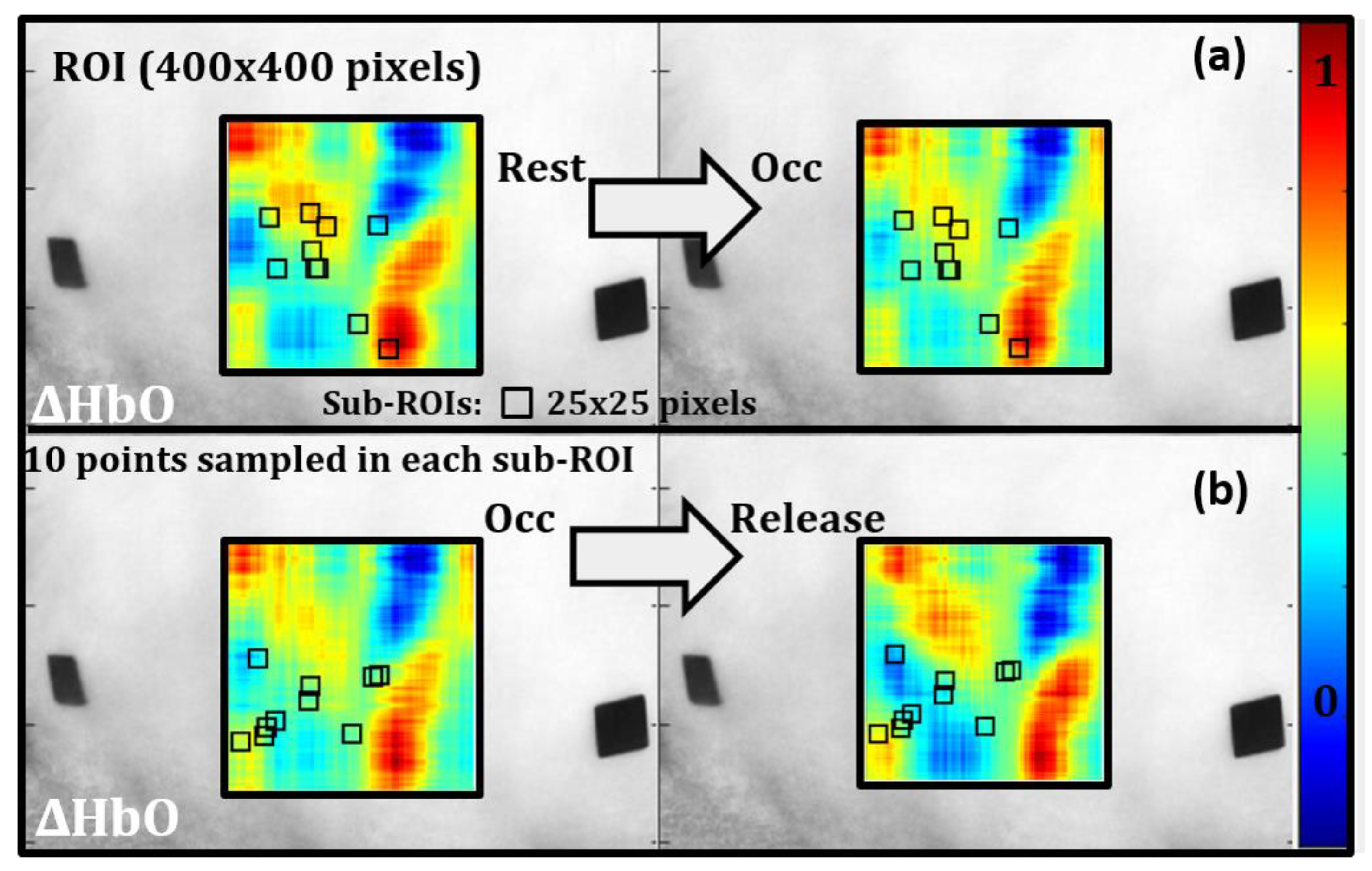 Biosensors 11 00165 g009