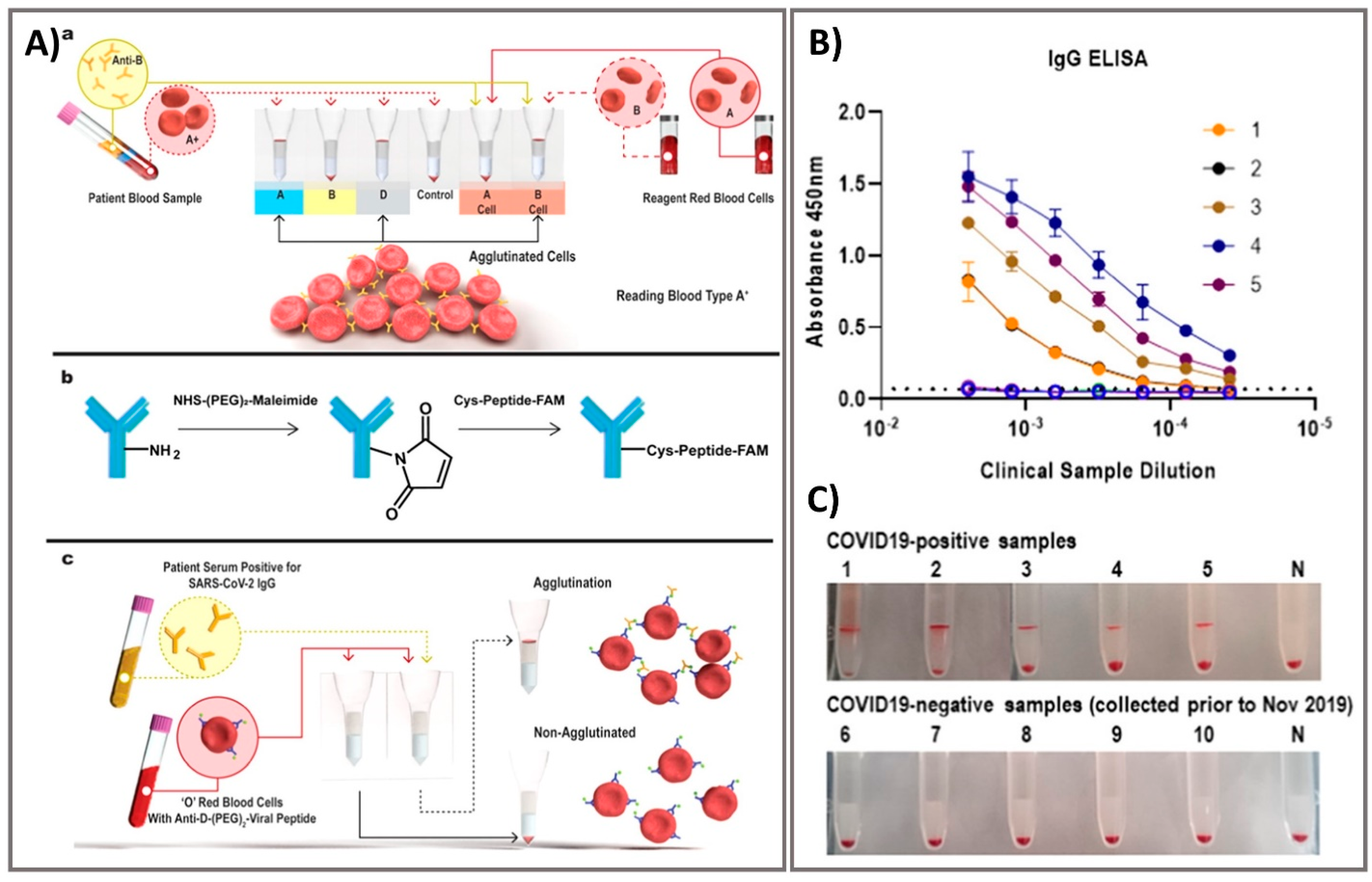 Biosensors 11 00167 g004