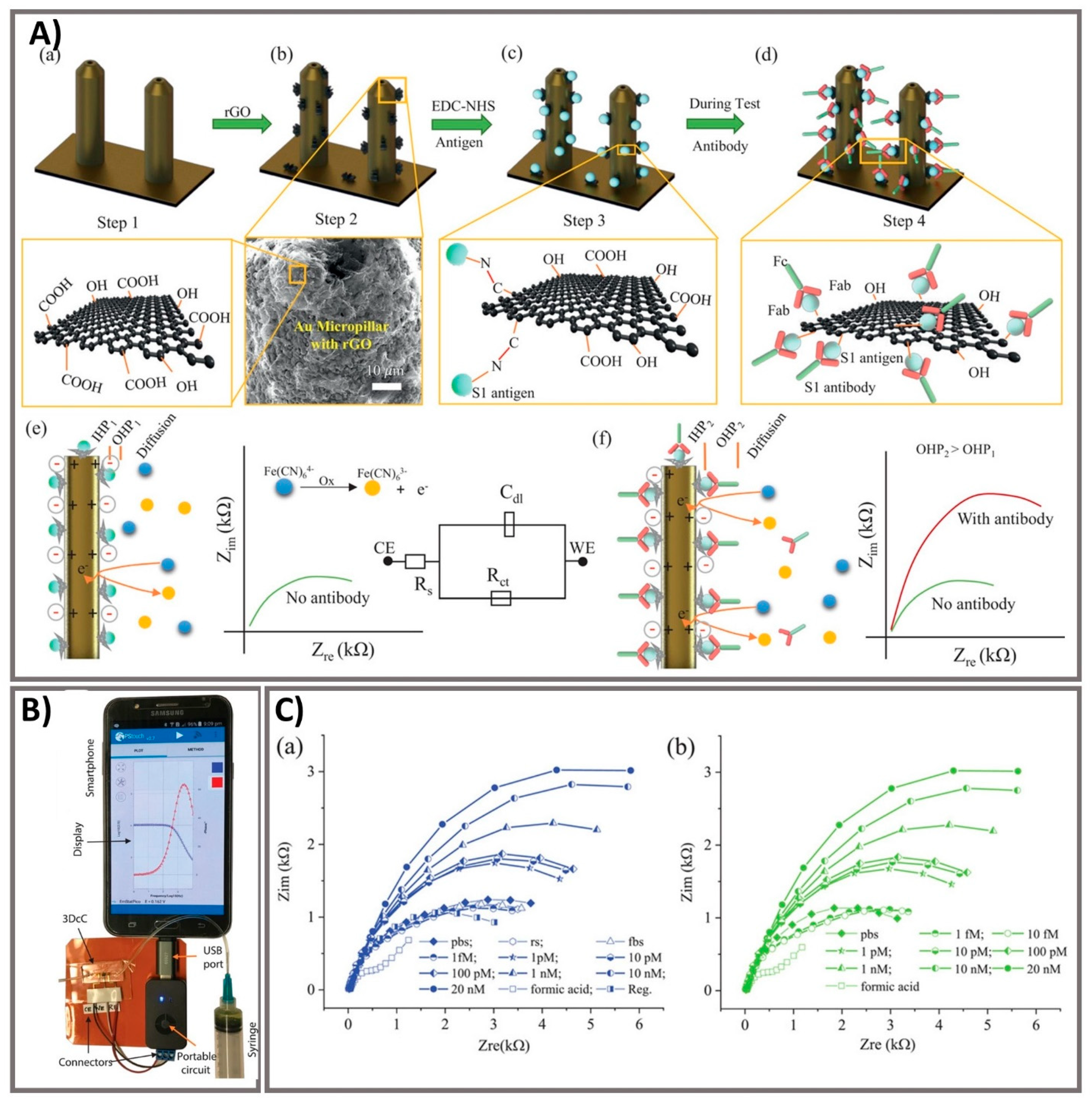 Biosensors 11 00167 g005
