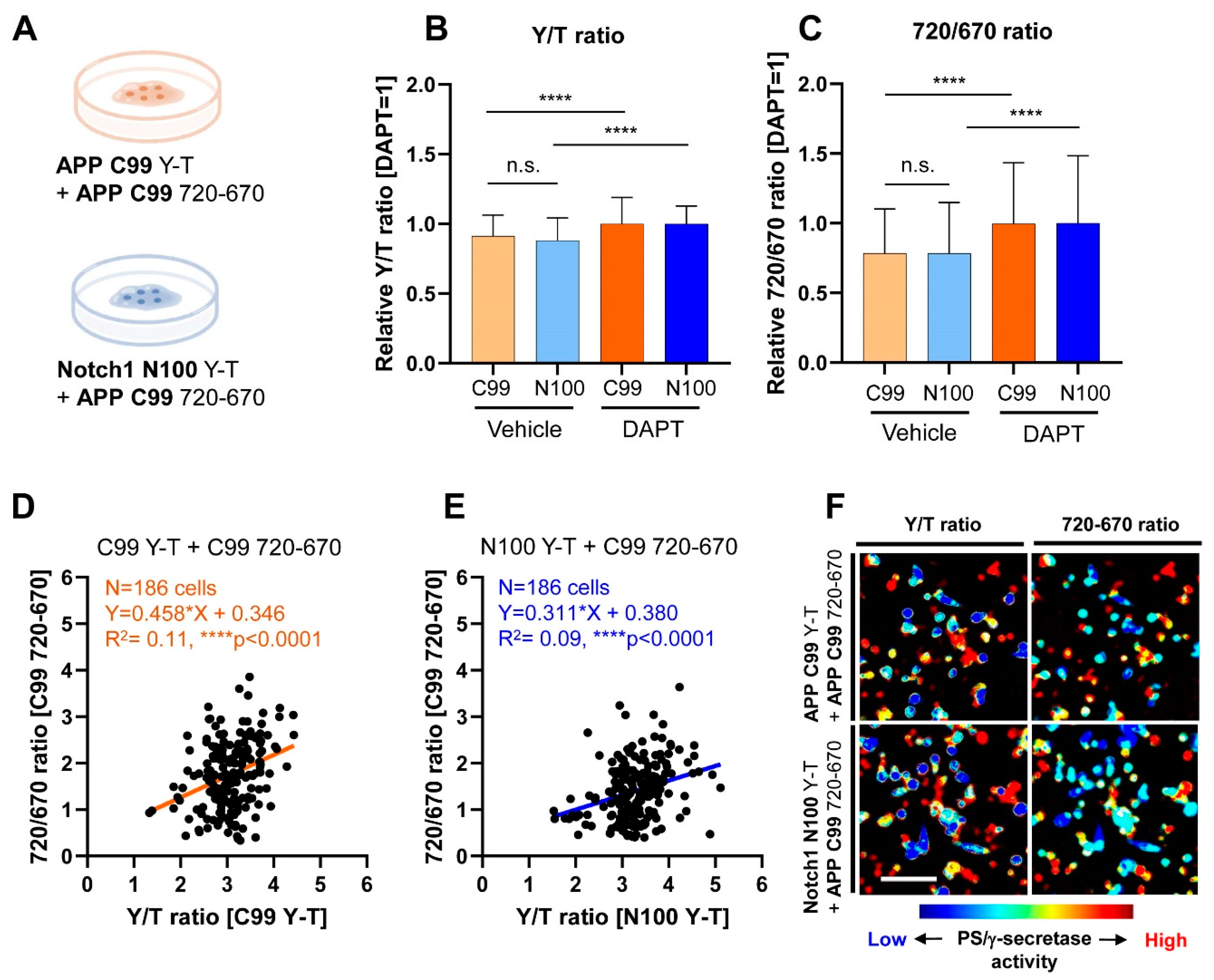 Biosensors 11 00169 g001 Biosensors 11 00169 g001