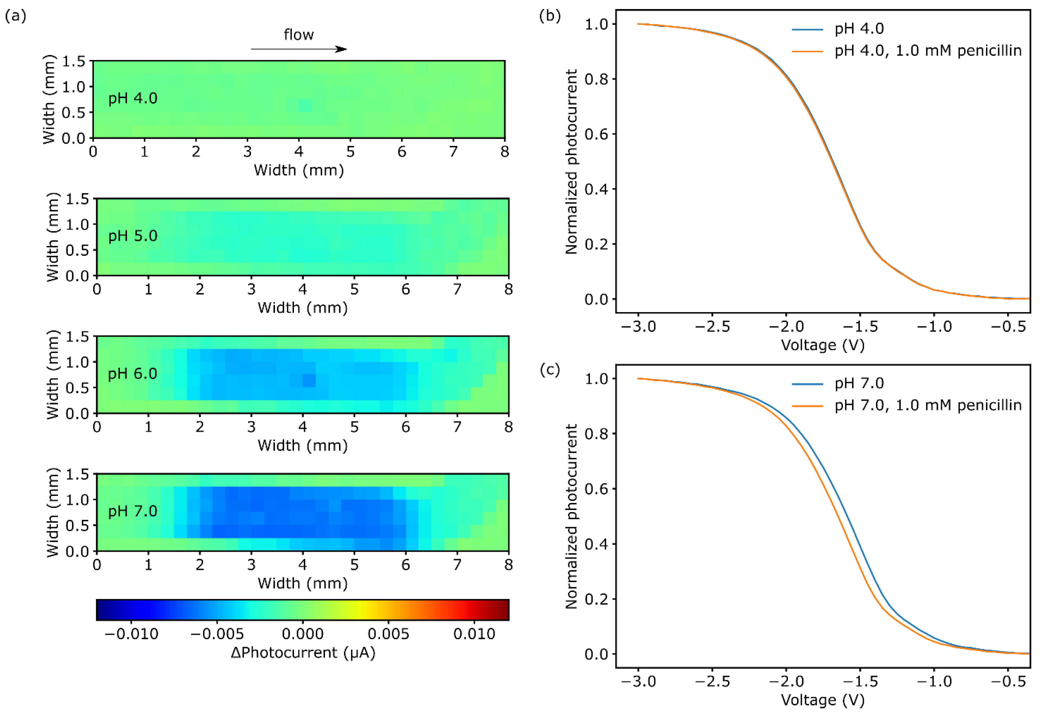 Biosensors 11 00171 g004 Biosensors 11 00171 g004