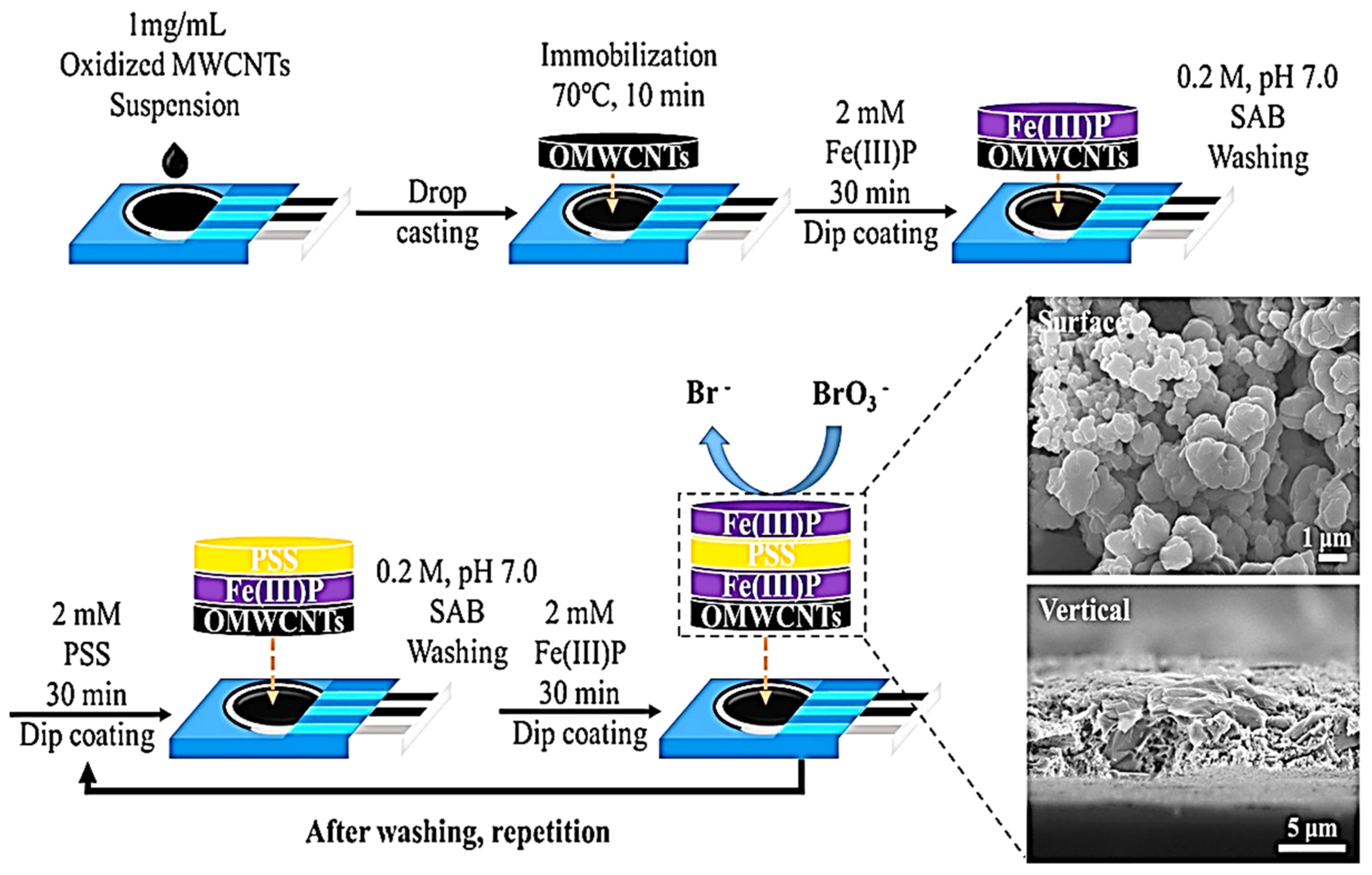Biosensors 11 00172 g001 Biosensors 11 00172 g001