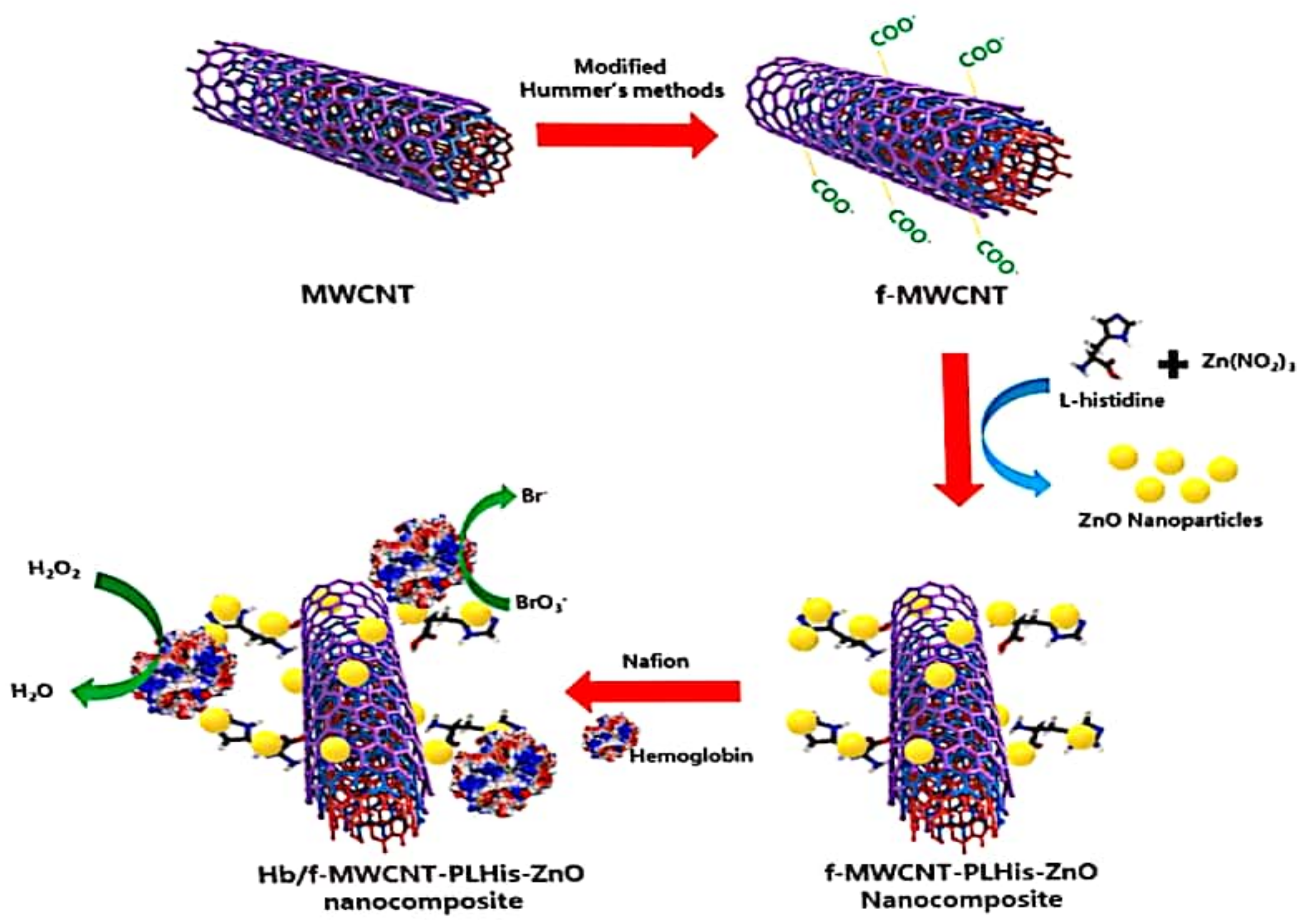 Biosensors 11 00172 g002 Biosensors 11 00172 g002