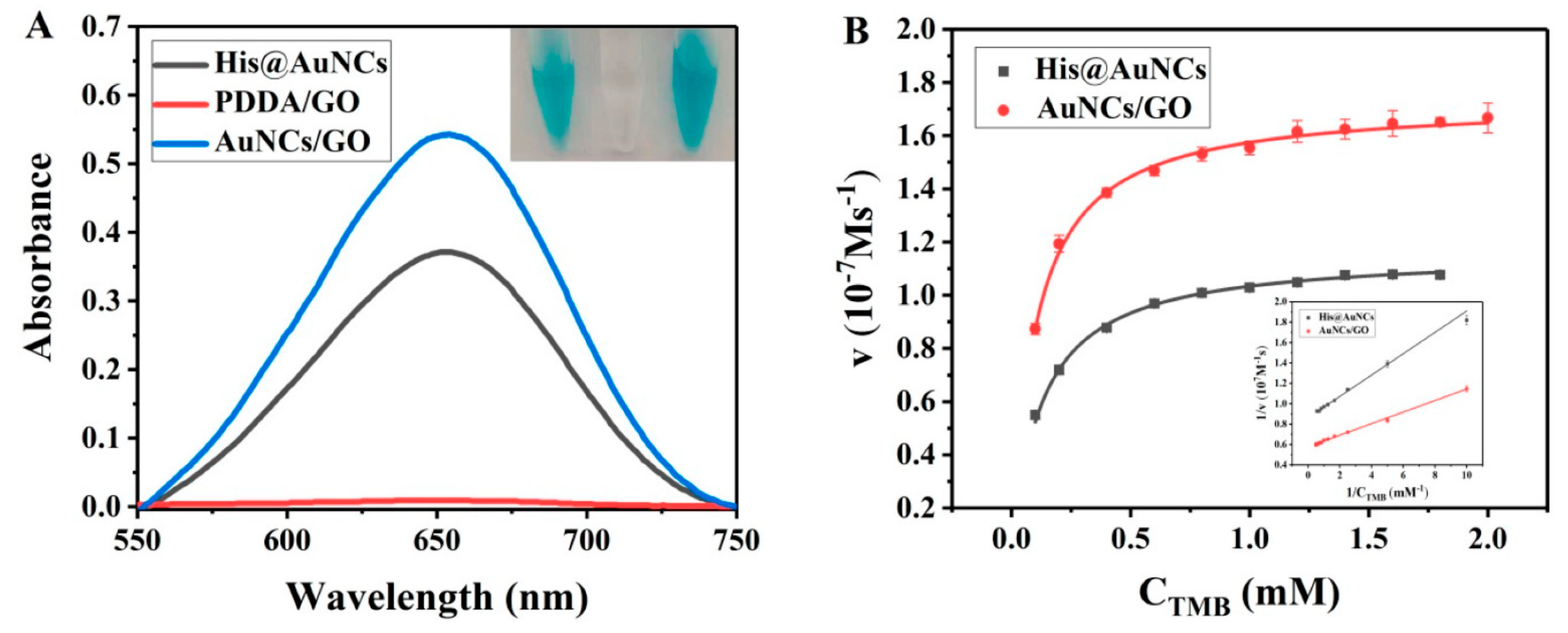 Biosensors 11 00174 g002 Biosensors 11 00174 g002