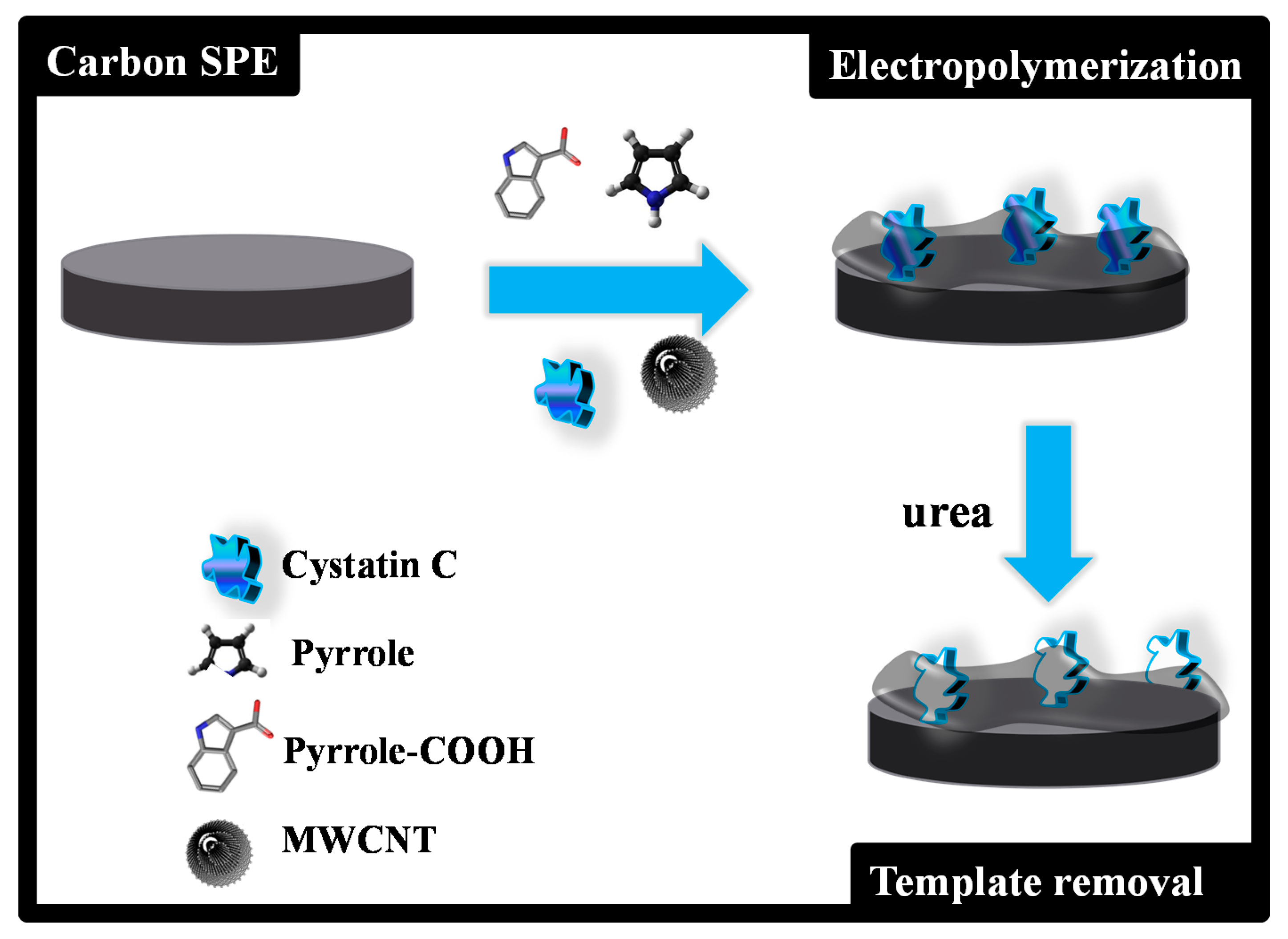 Biosensors 11 00175 g001