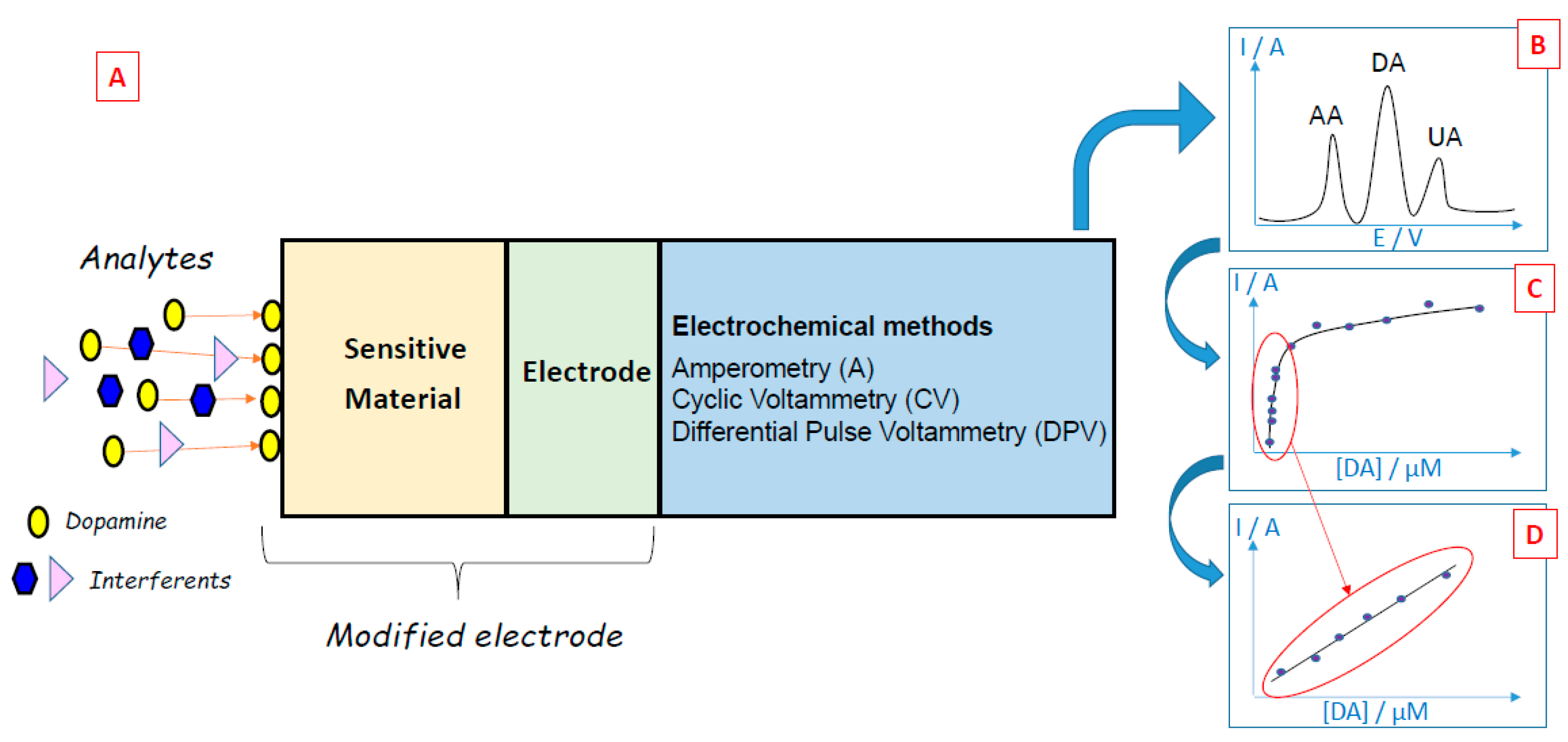 Biosensors 11 00179 g002