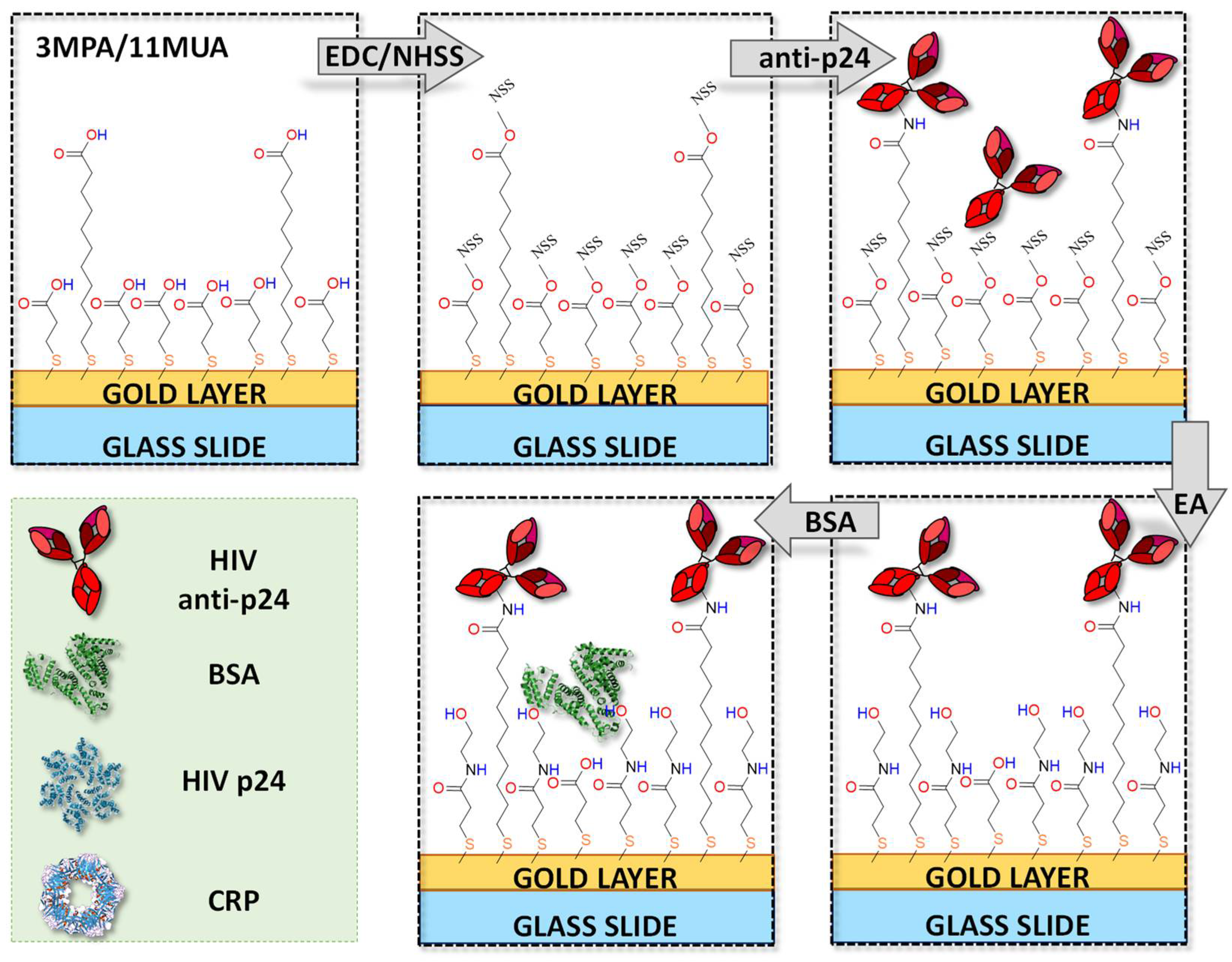 Biosensors 11 00180 g003 Biosensors 11 00180 g003