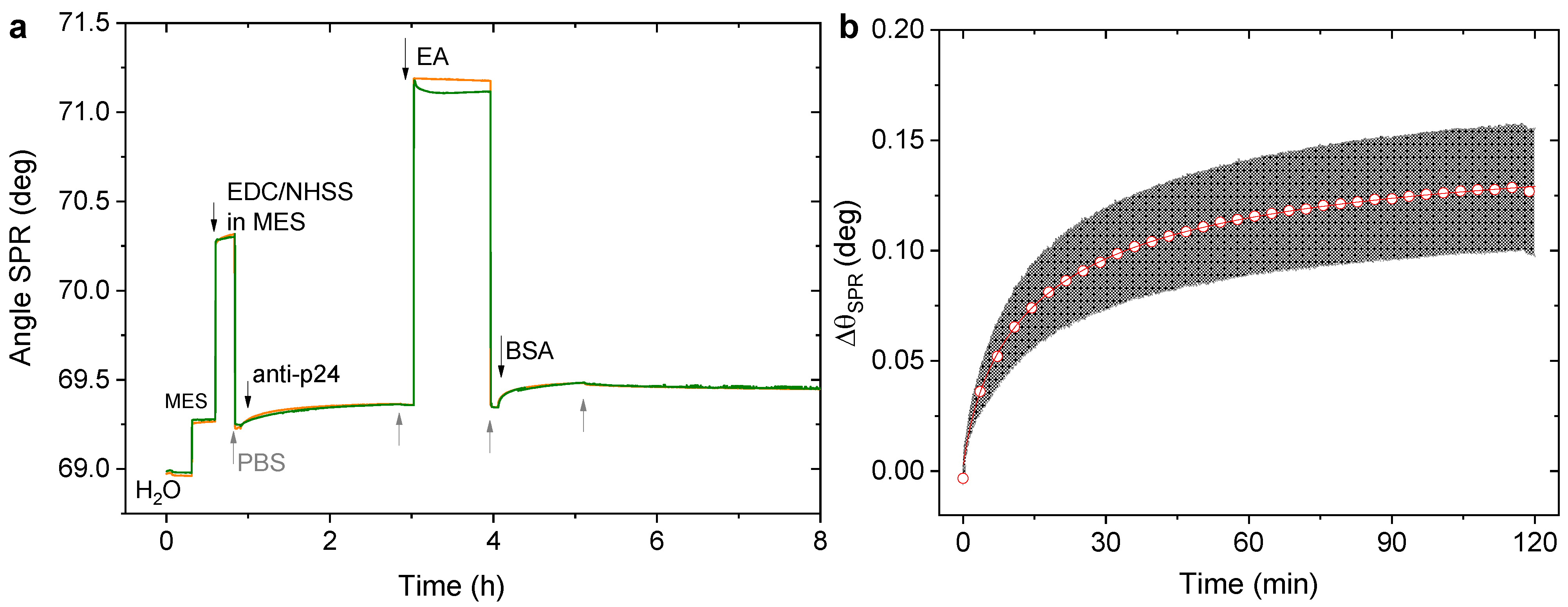 Biosensors 11 00180 g004 Biosensors 11 00180 g004