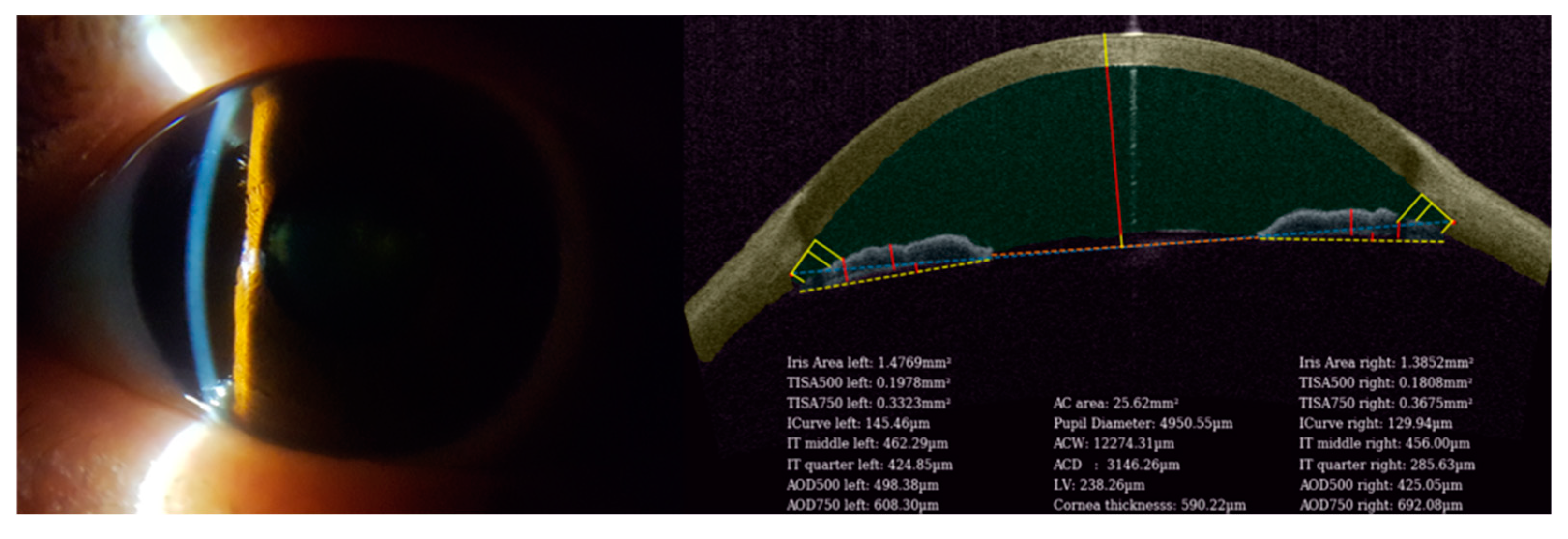 Biosensors 11 00182 g002 Biosensors 11 00182 g002