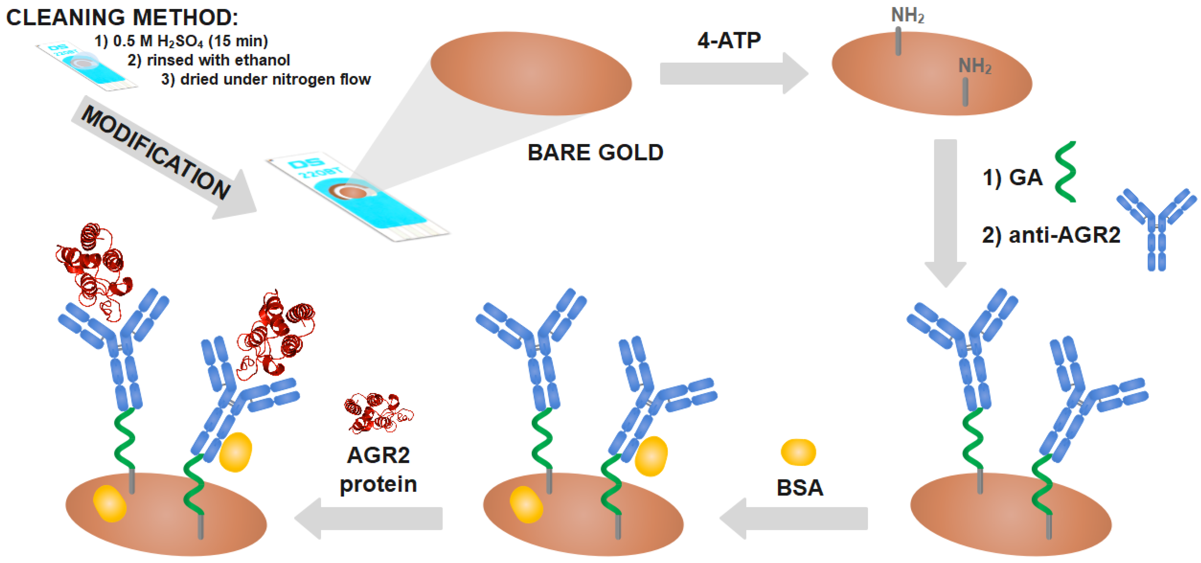 Biosensors 11 00184 g001