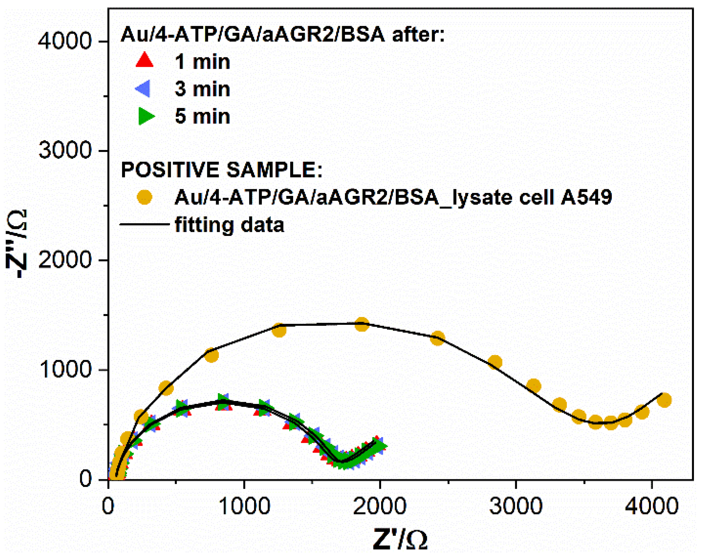 Biosensors 11 00184 g003