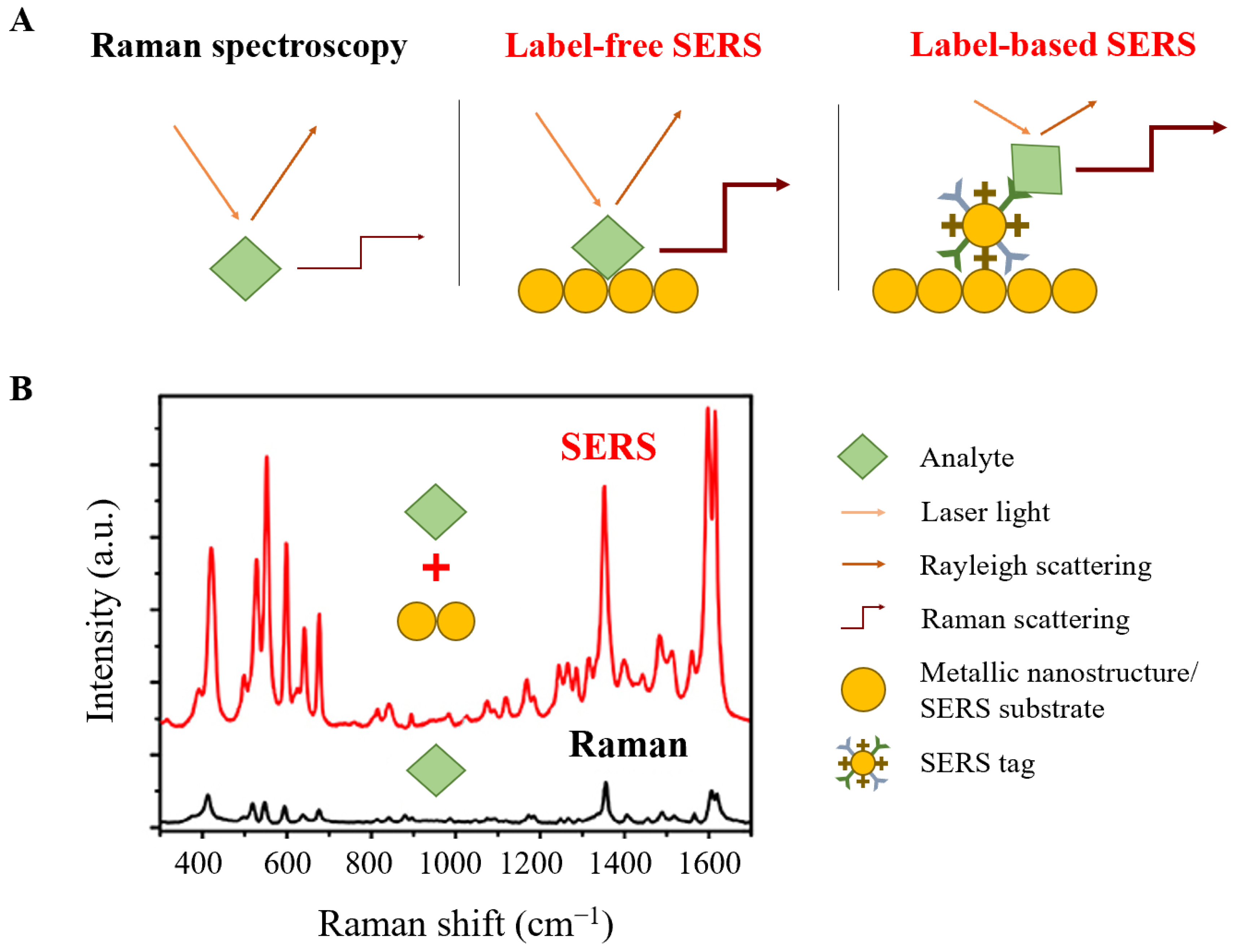 Biosensors Free Full-Text Application of Raman Spectroscopic Methods in Food Safety A Review