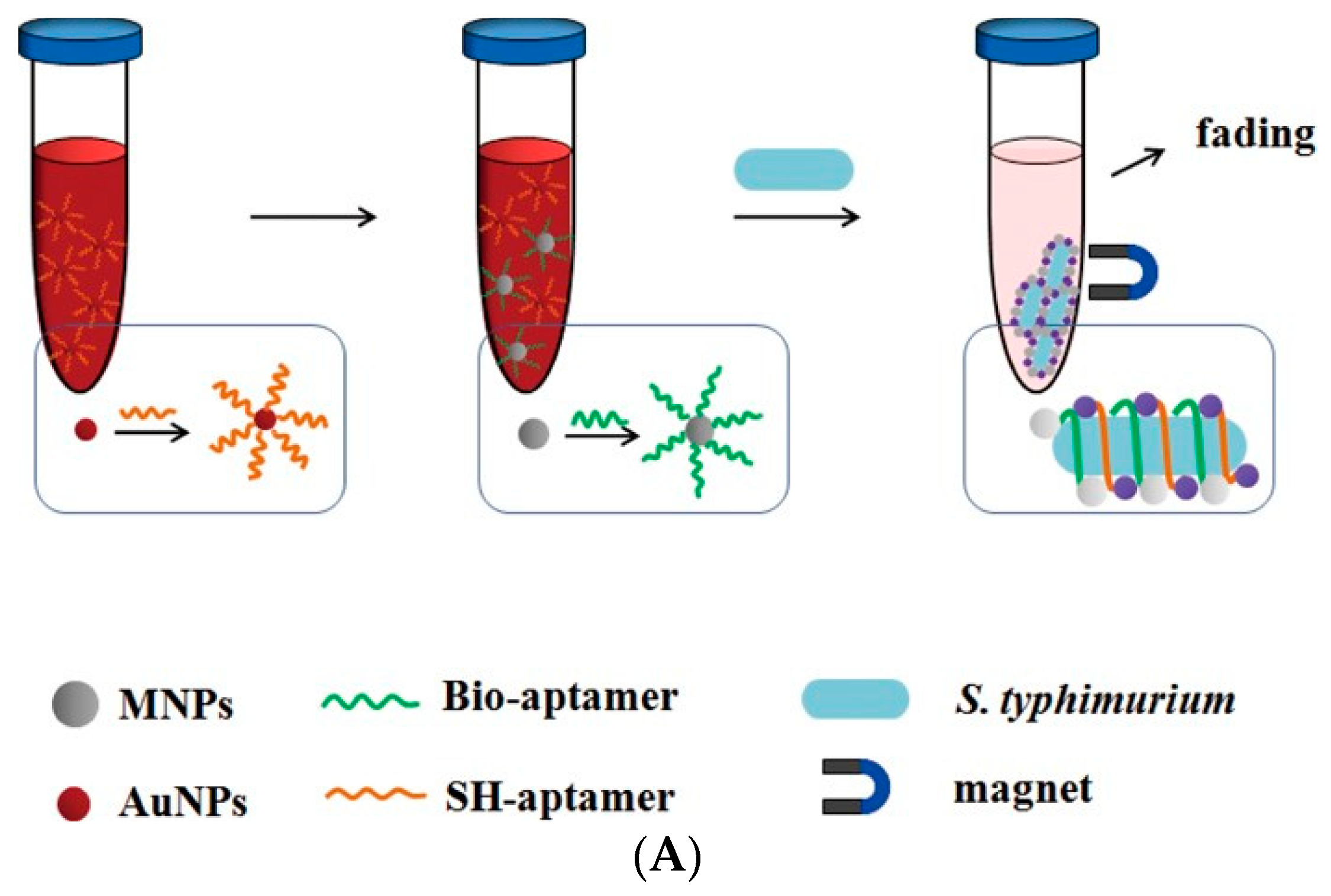 Biosensors 11 00190 g004a Biosensors 11 00190 g004a