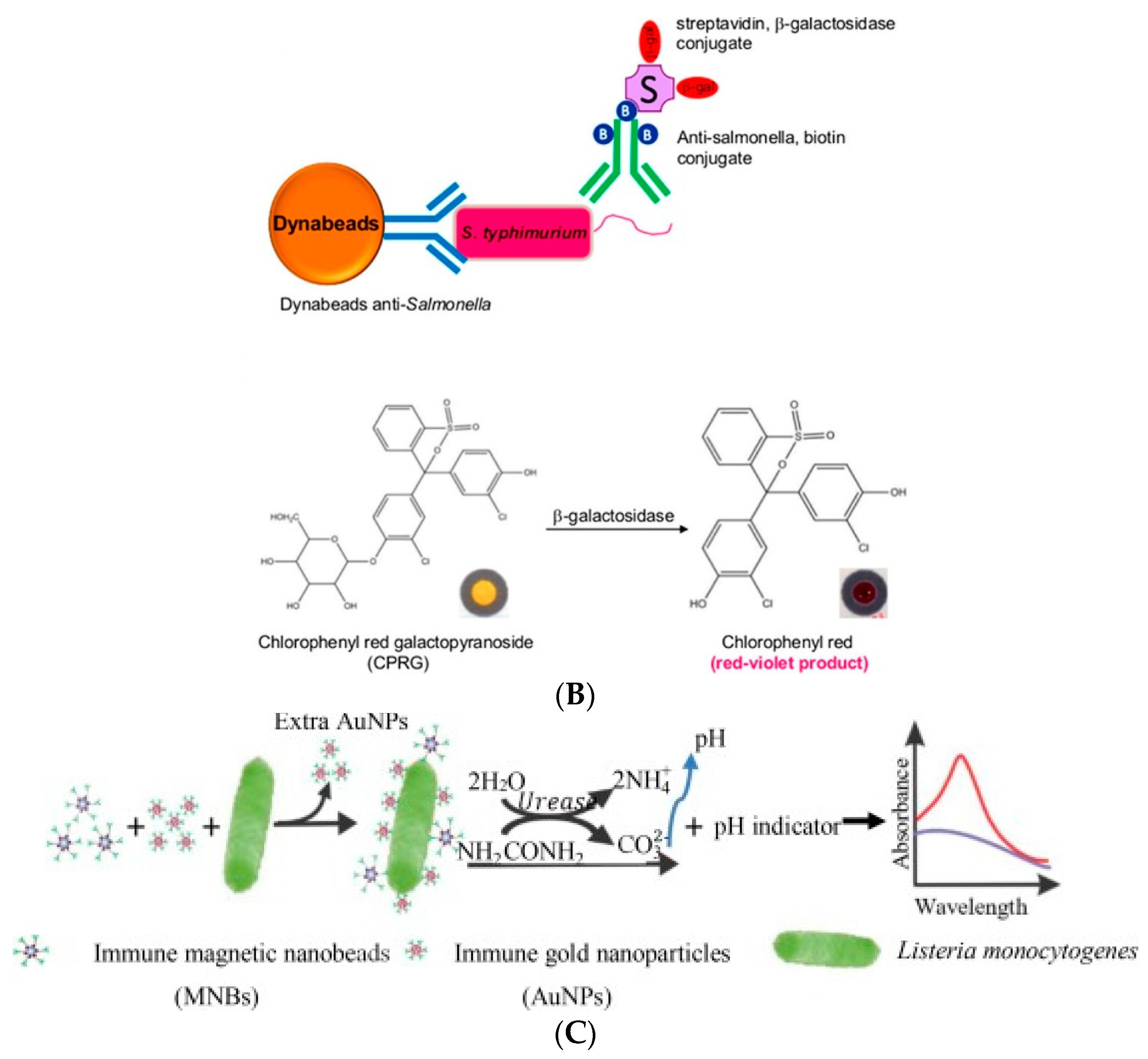 Biosensors 11 00190 g004b Biosensors 11 00190 g004b