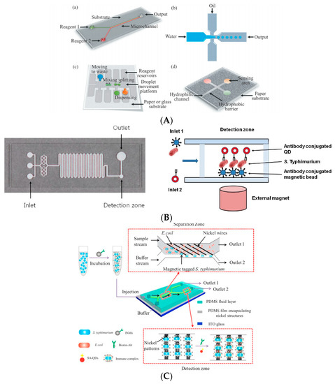 Biosensors Coupled with Signal Amplification Technology for Biosensors Coupled with Signal Amplification Technology for