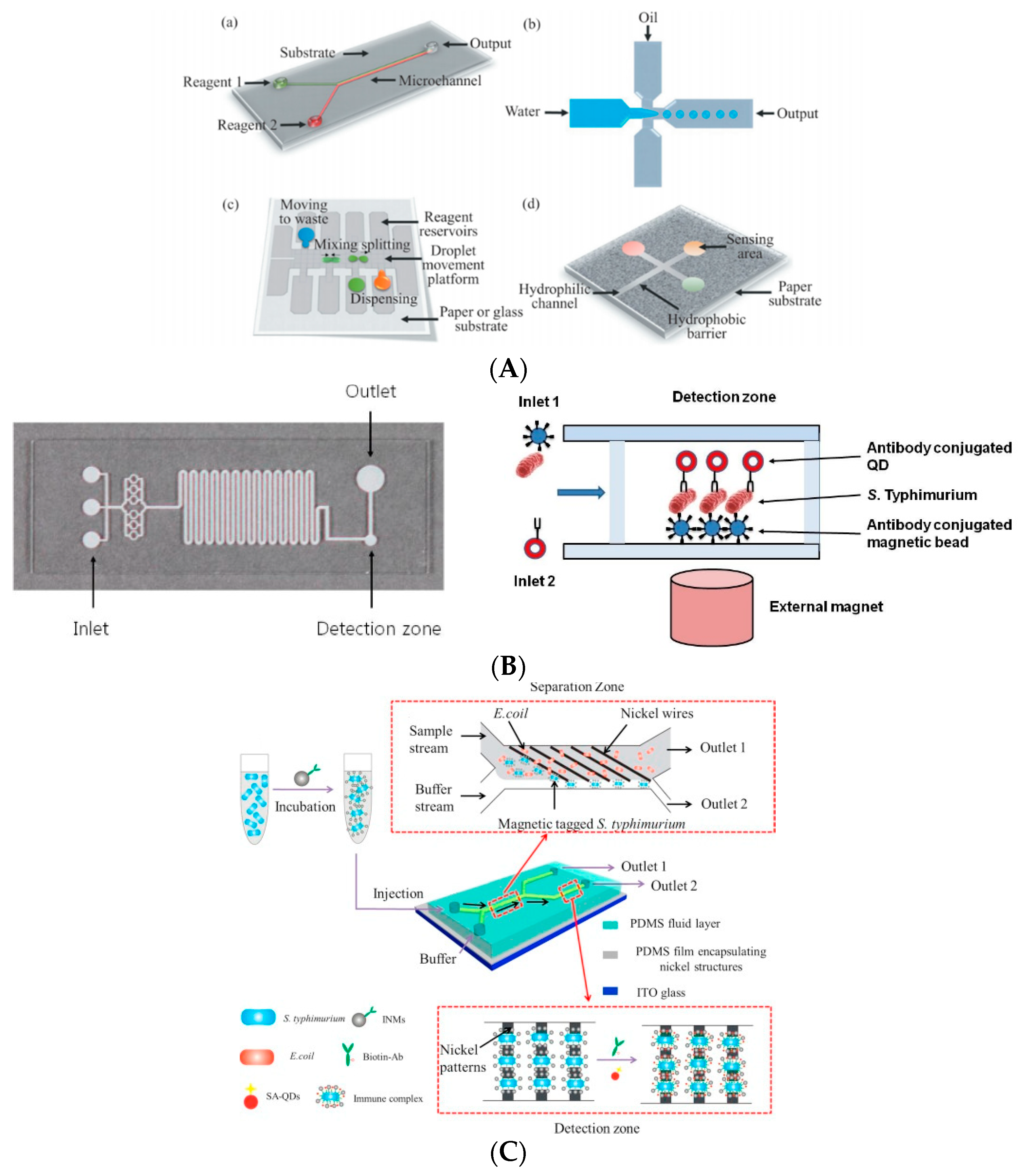 Biosensors 11 00190 g006 Biosensors 11 00190 g006