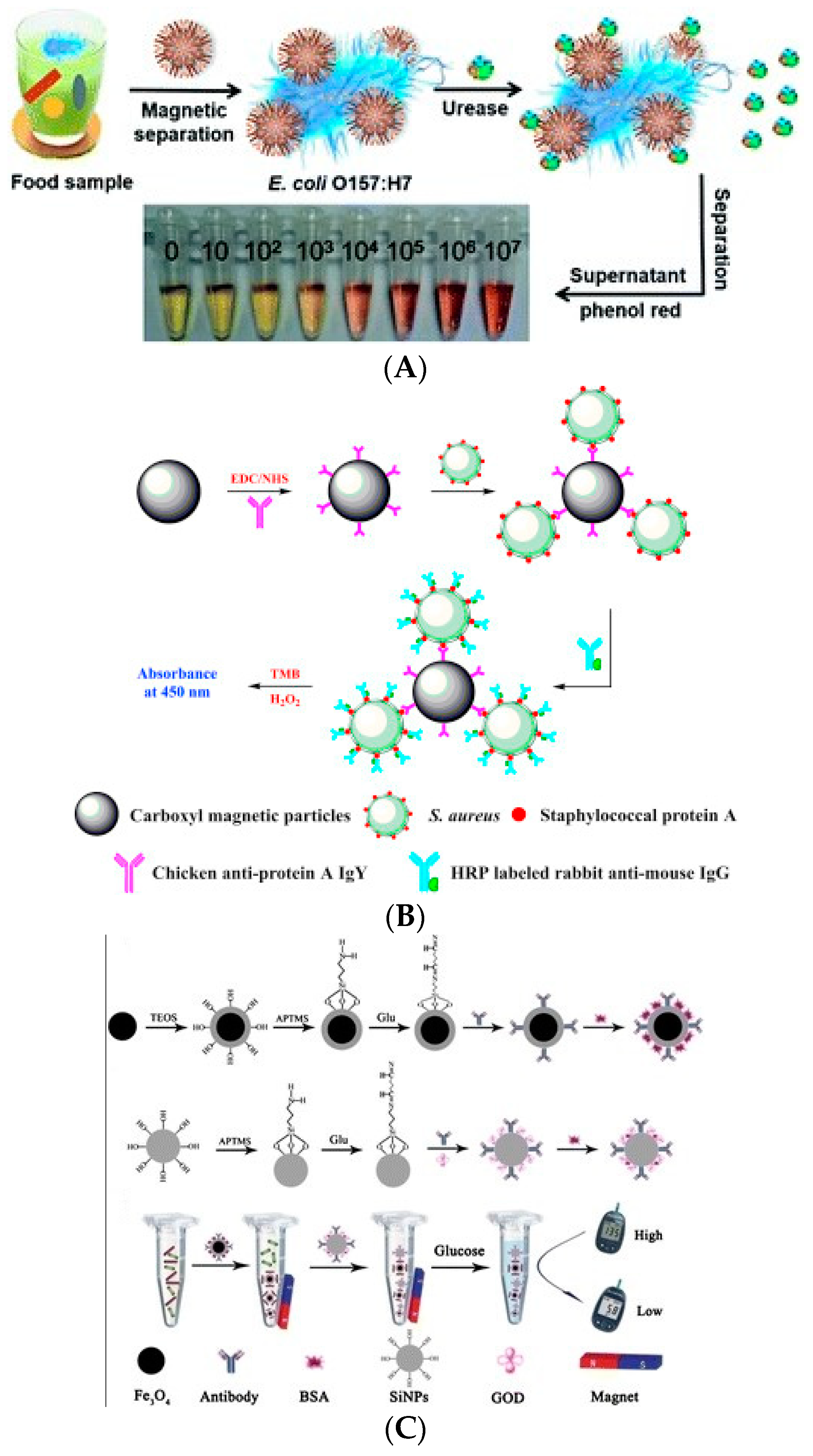 Biosensors 11 00190 g007 Biosensors 11 00190 g007