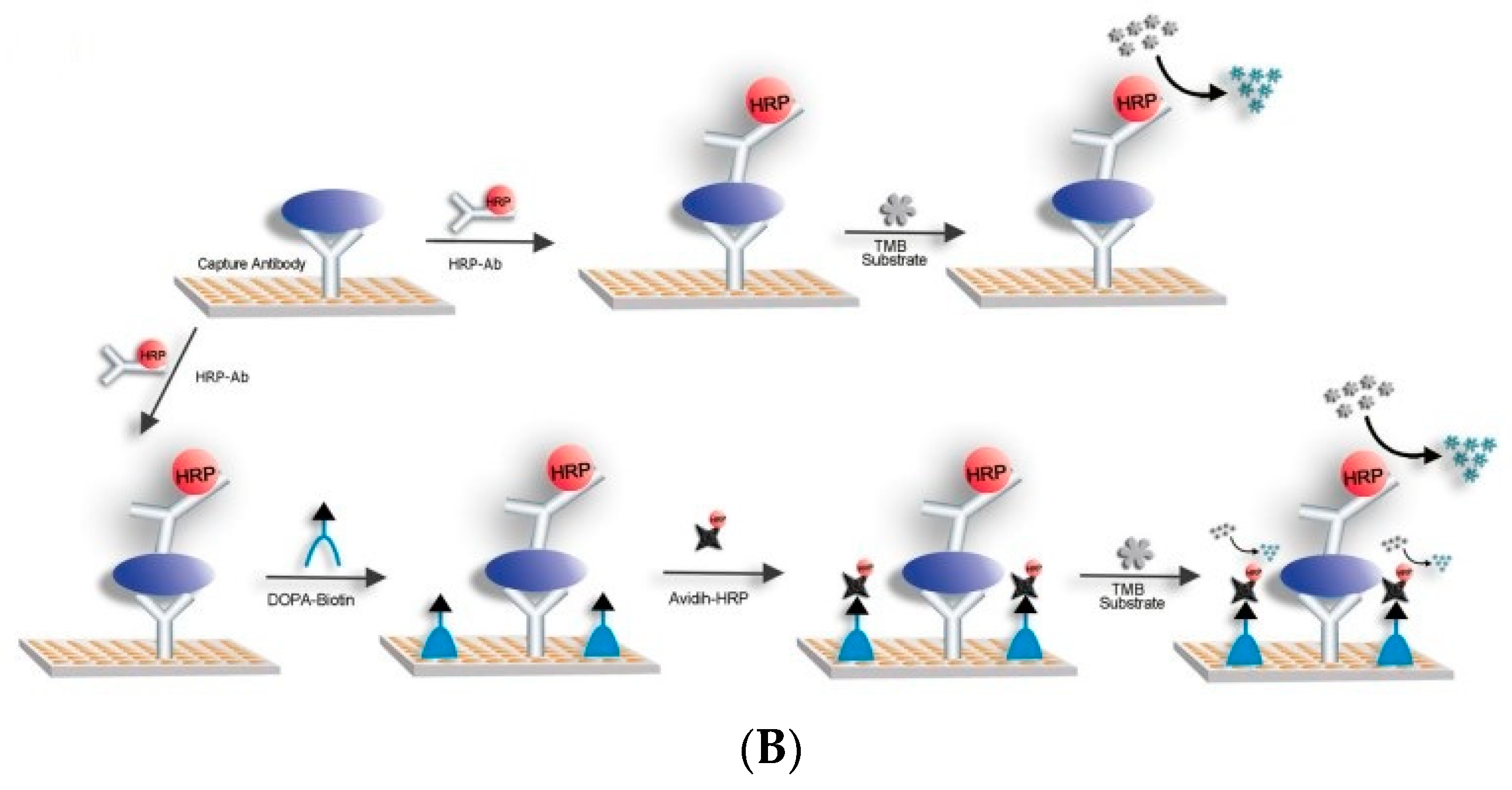 Biosensors 11 00190 g009b Biosensors 11 00190 g009b