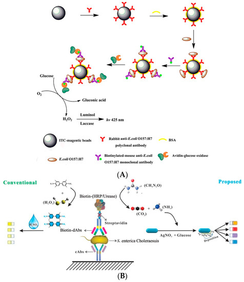 Frontiers | Carthamus tinctorius L. protects cerebral